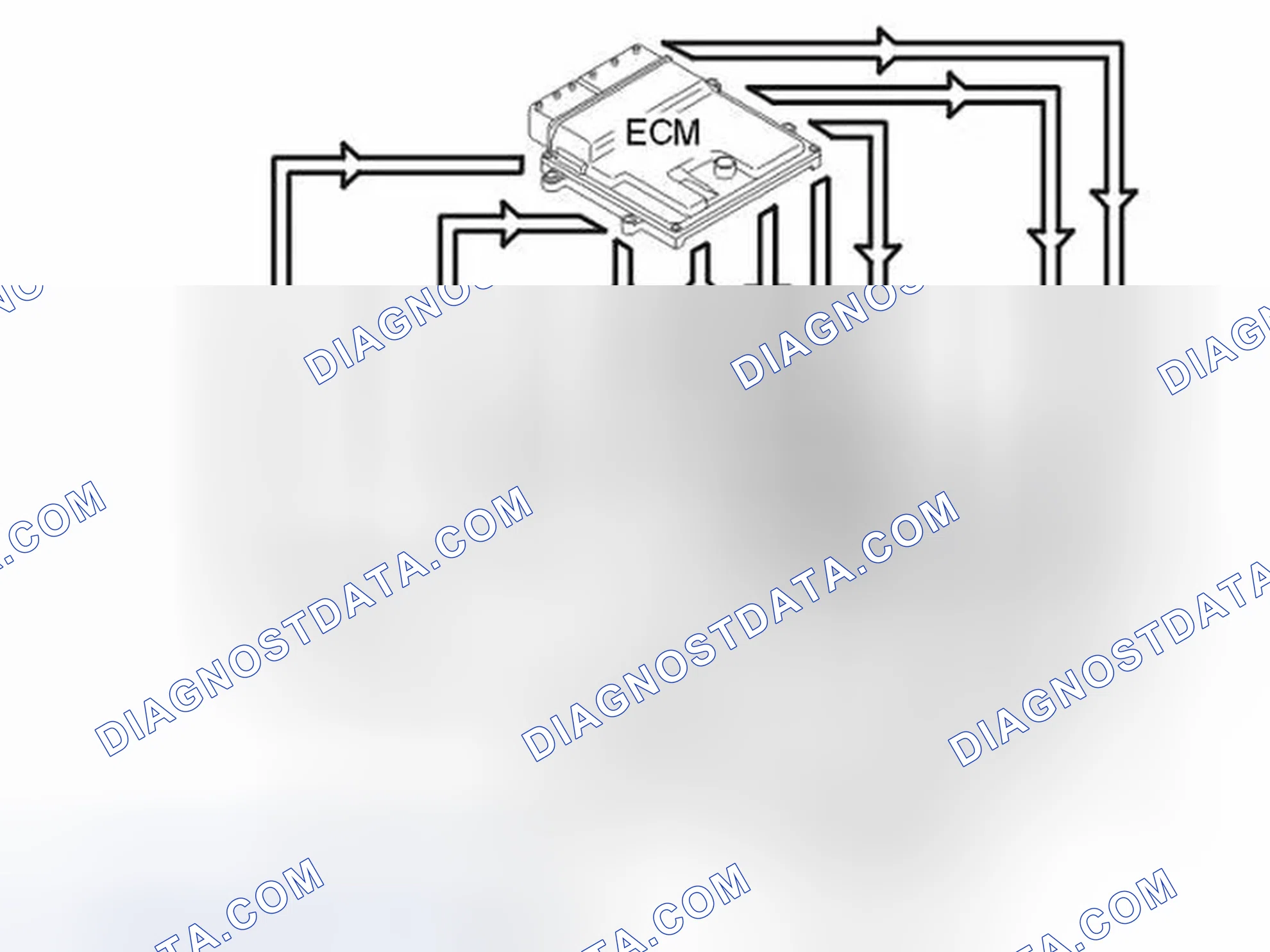 Scheme 239: CAMSHAFT CONTROL (CVVT)