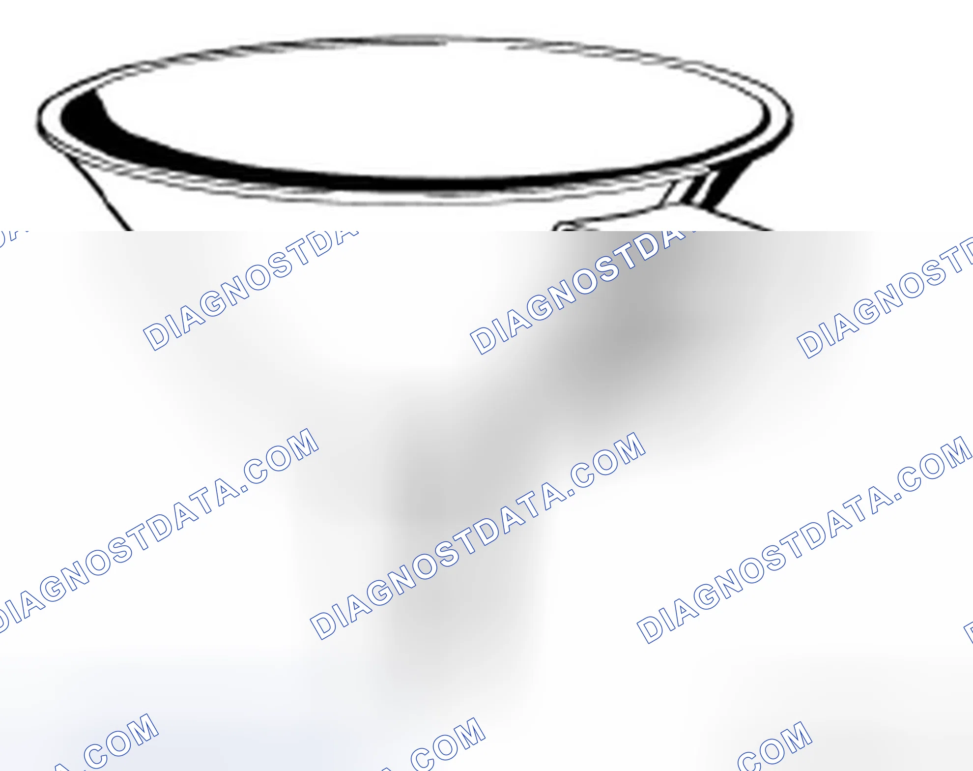 Scheme 307: 24 0 080 Funnel