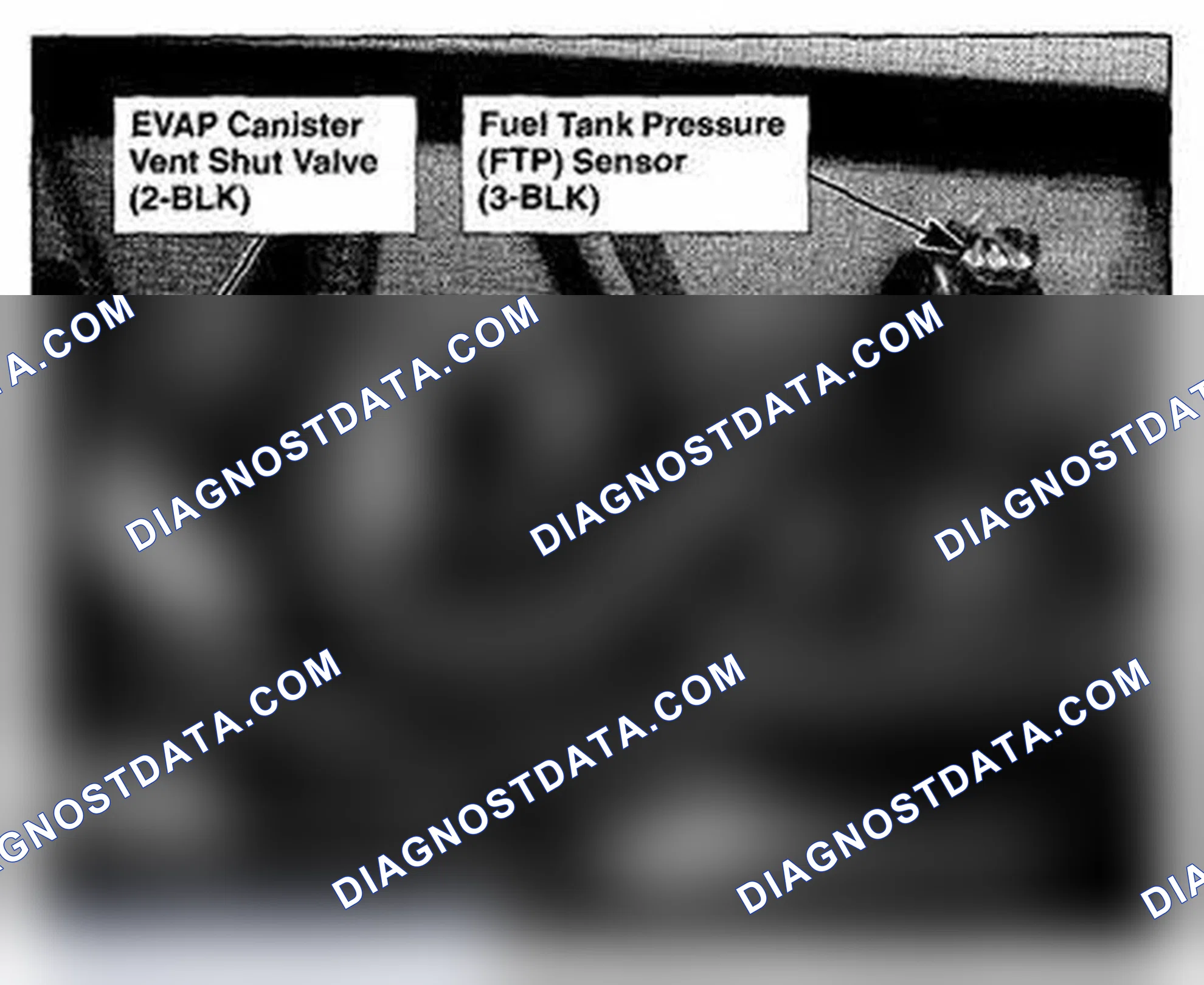 Scheme 586: Fuel Tank Component Location (Photo 181)