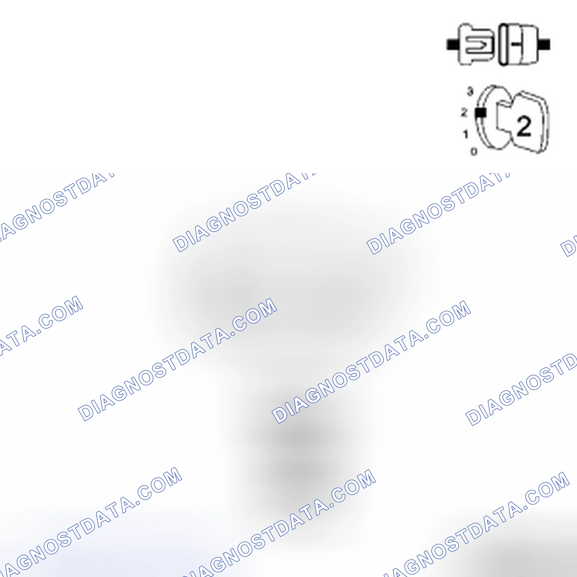 Scheme 43: Diagnostic Test