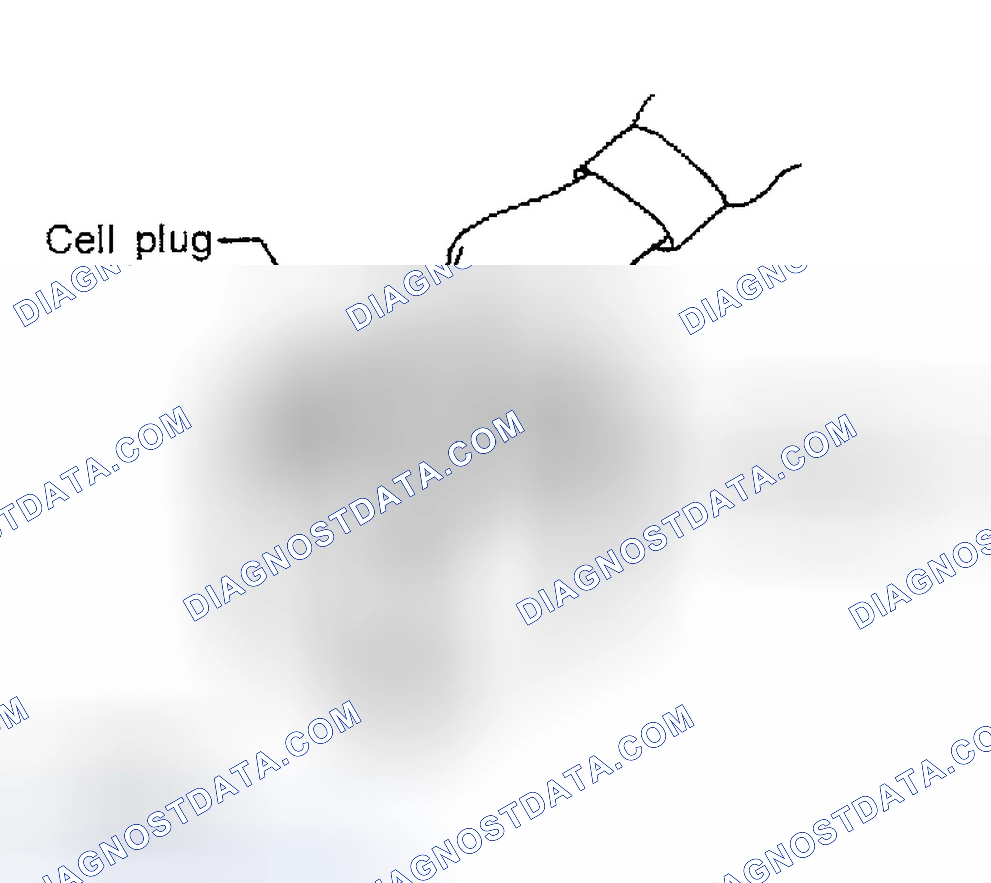 Scheme 12