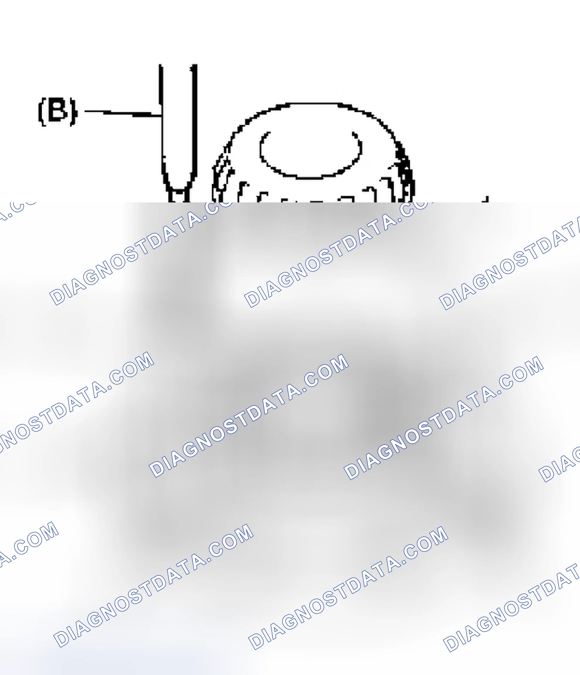 Scheme 62