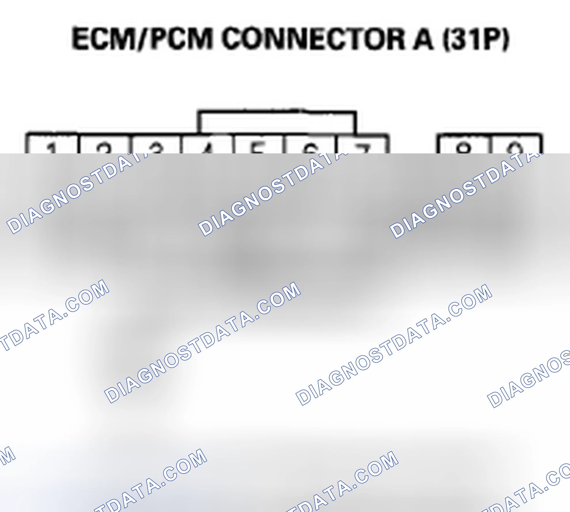 Scheme 371