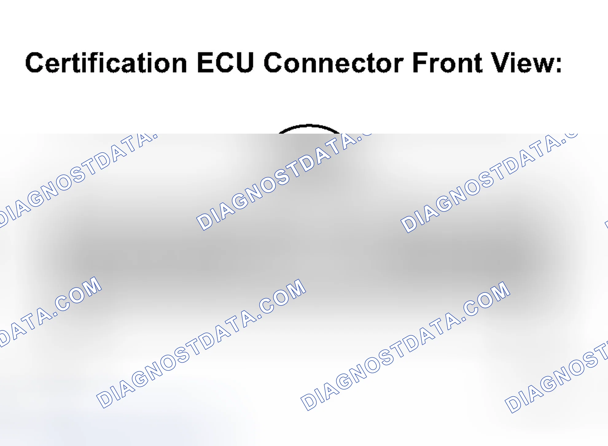Scheme 298: INSPECTION PROCEDURE