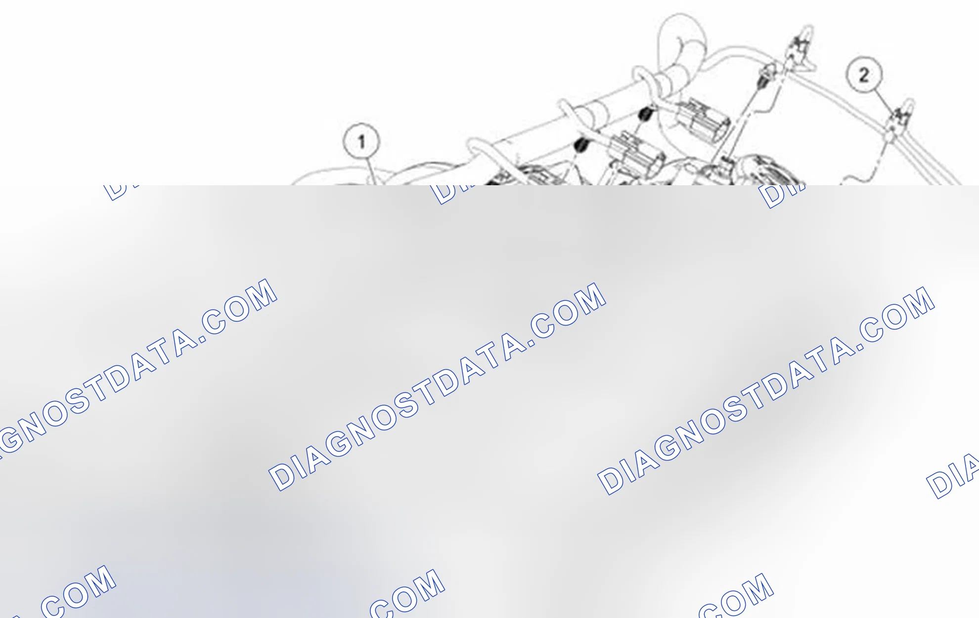 Scheme 790: Wiring Harness