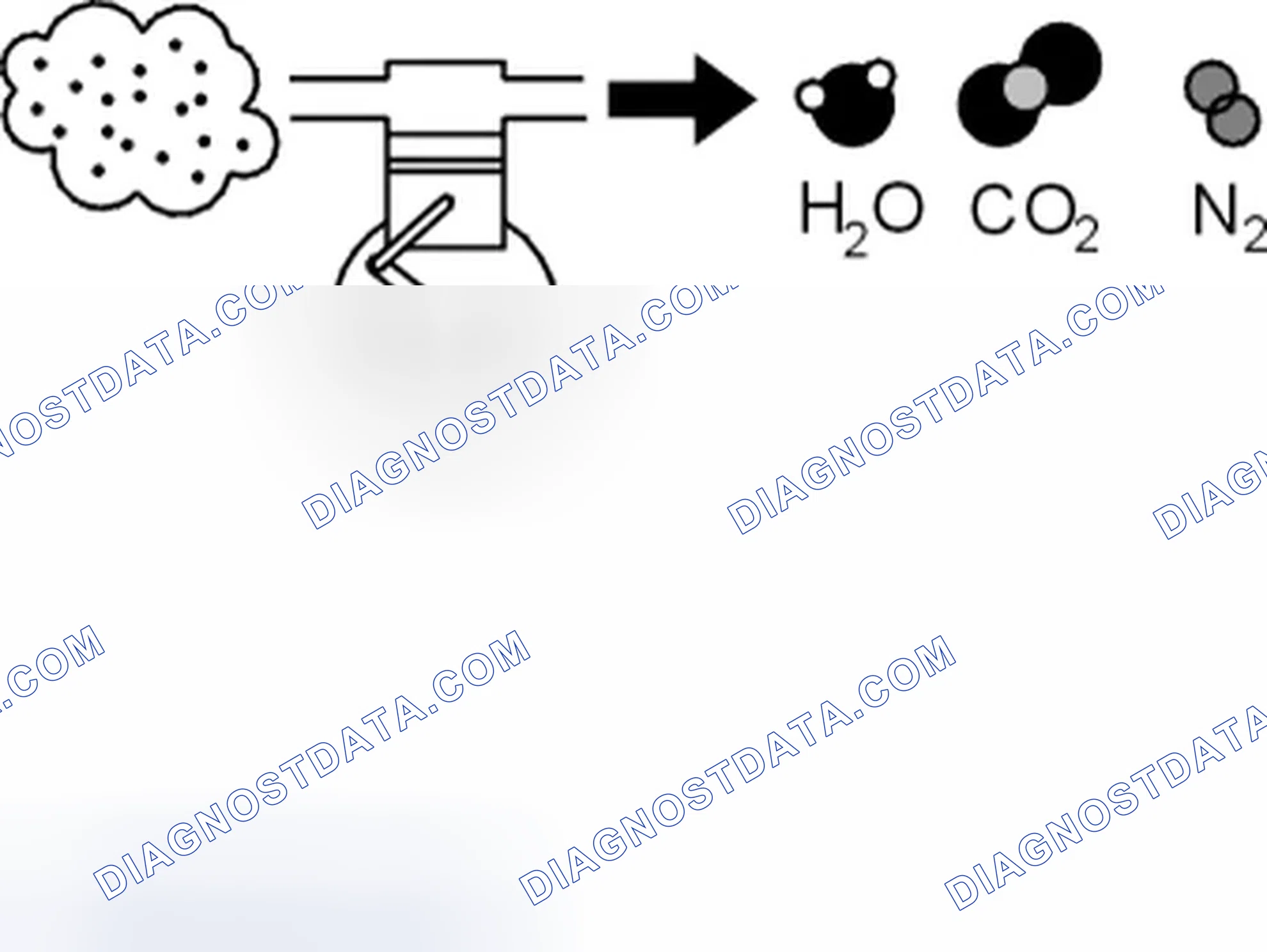 Scheme 203