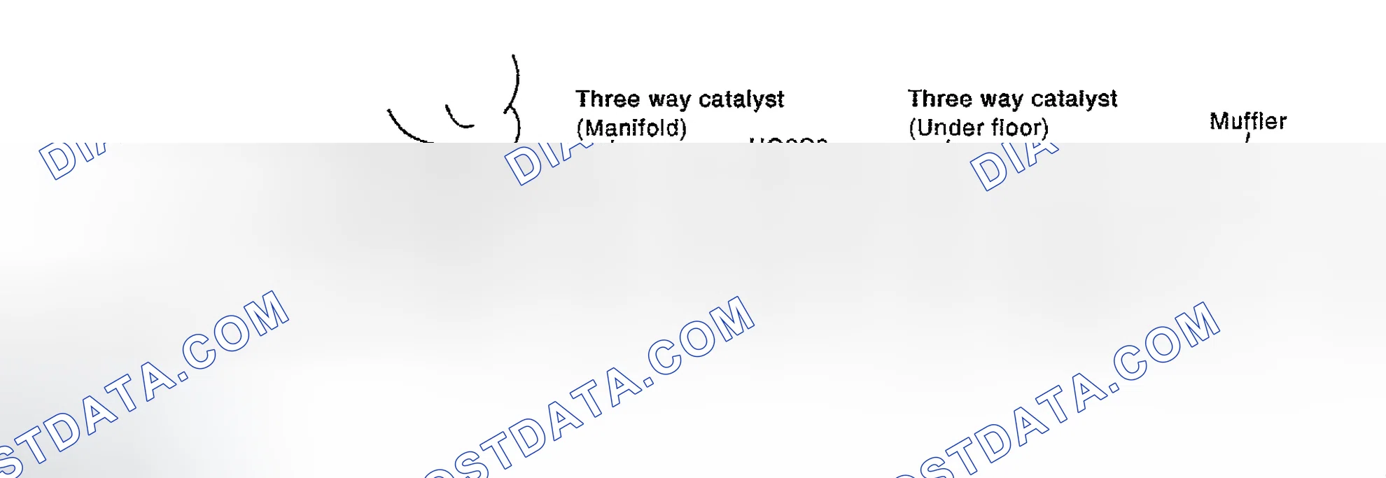 Scheme 721: Diagnostic Procedure