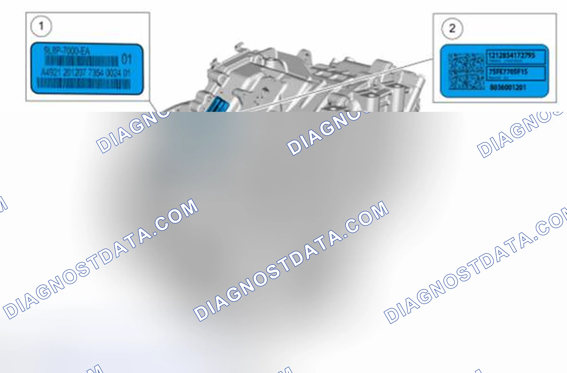 Scheme 2: Identification Tag Location