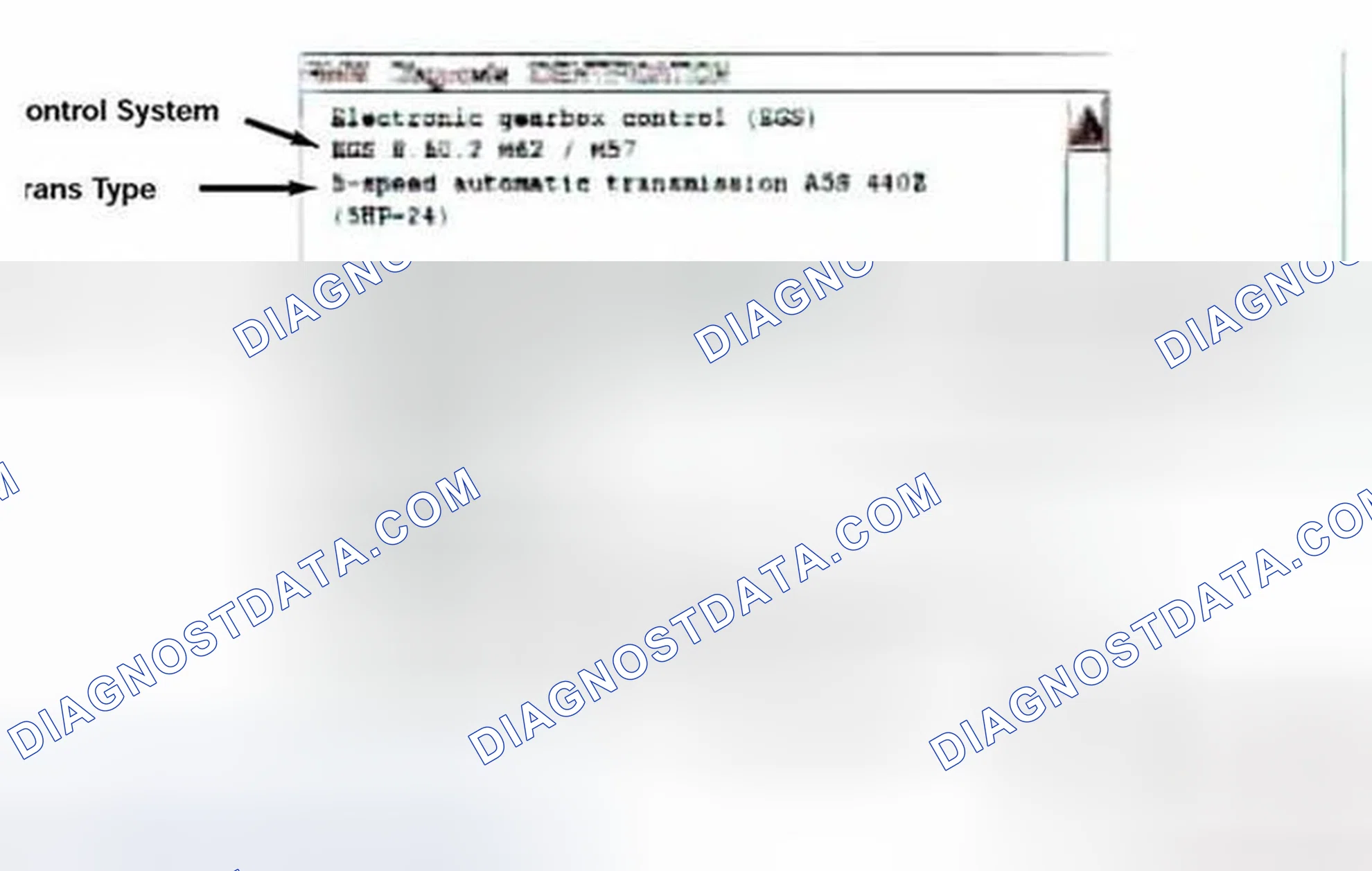 Scheme 416: Identification Page