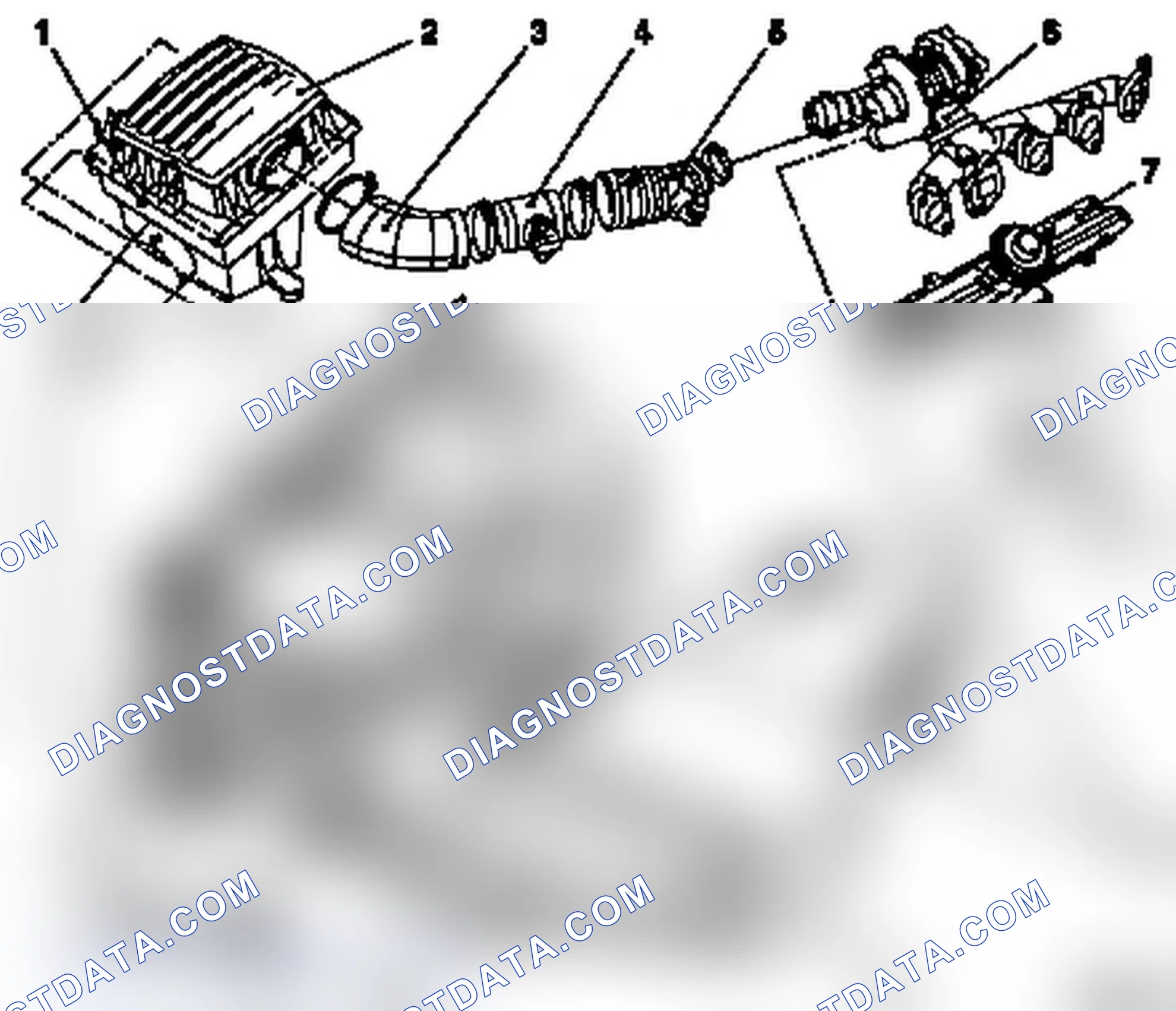 Illustration Ducts