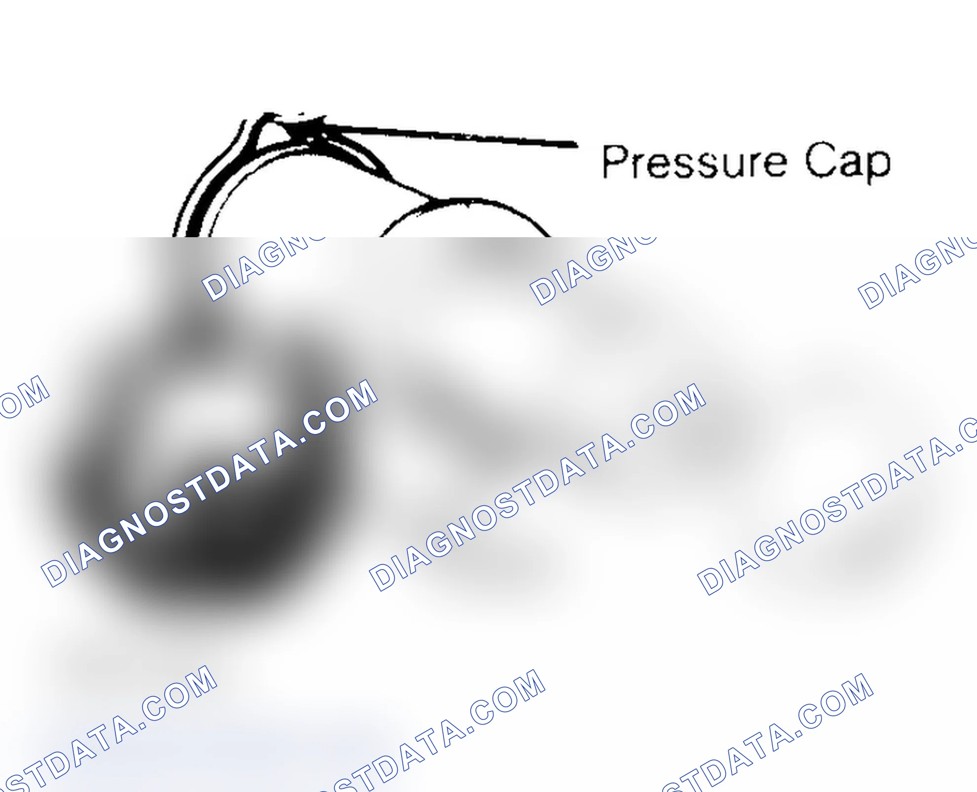 Scheme 2: Pressure Testing Radiator Cap