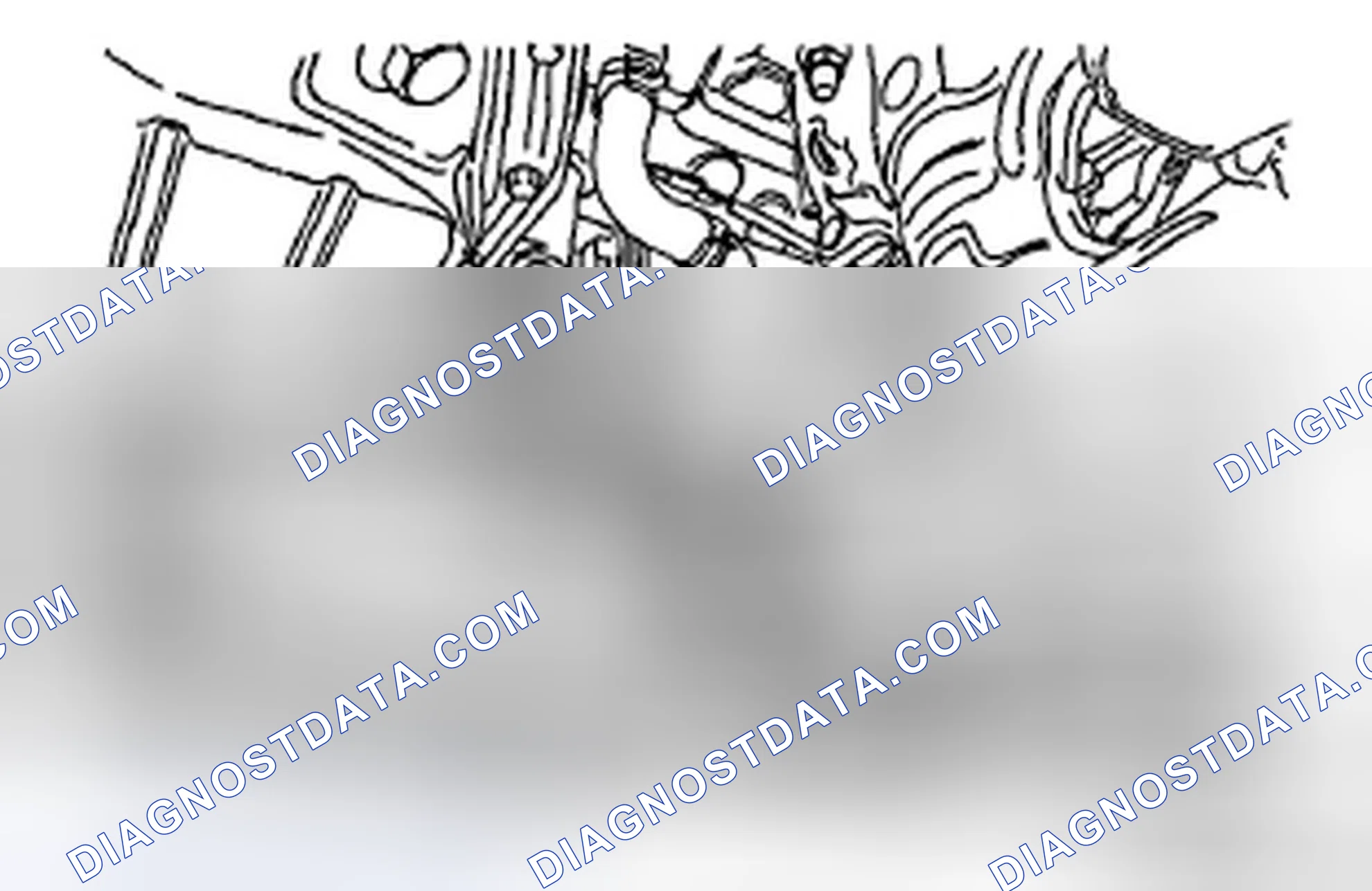 Scheme 46: DRAINING OF ENGINE COOLANT