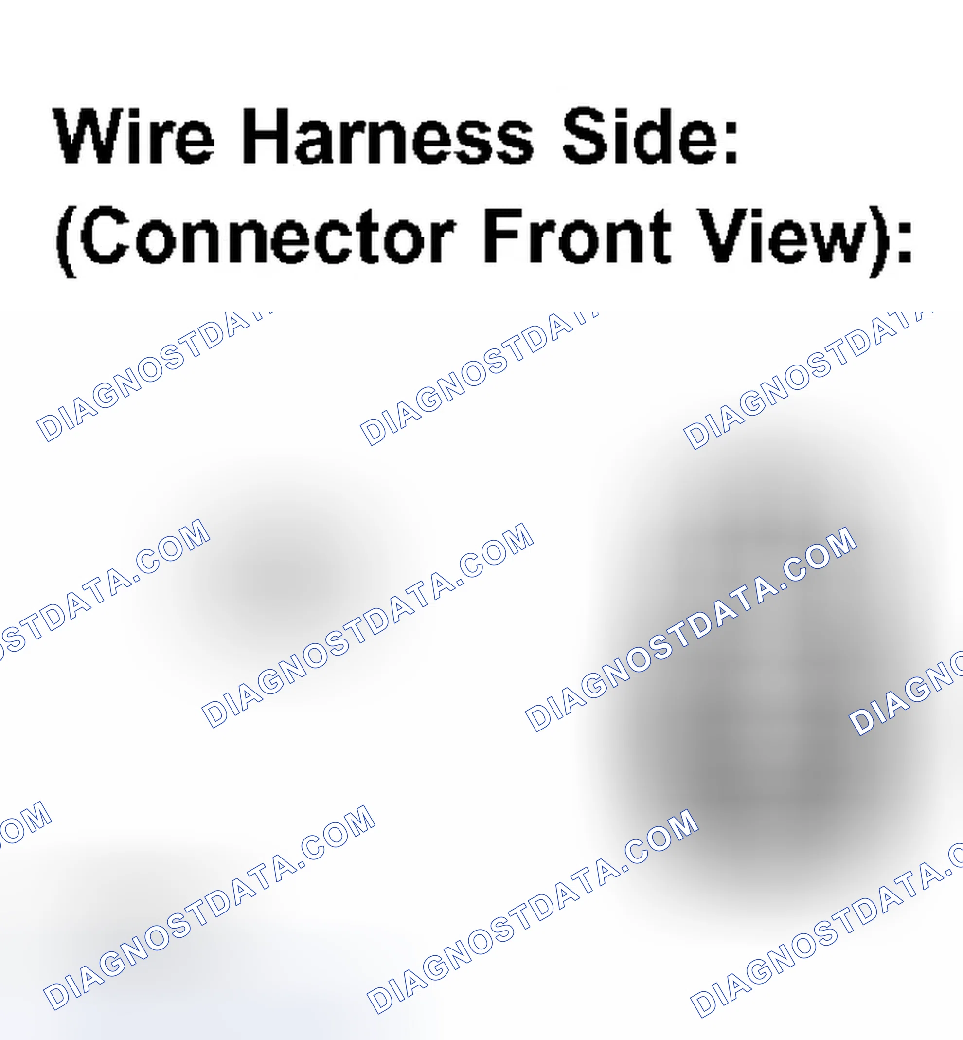 Scheme 95: INSPECTION PROCEDURE