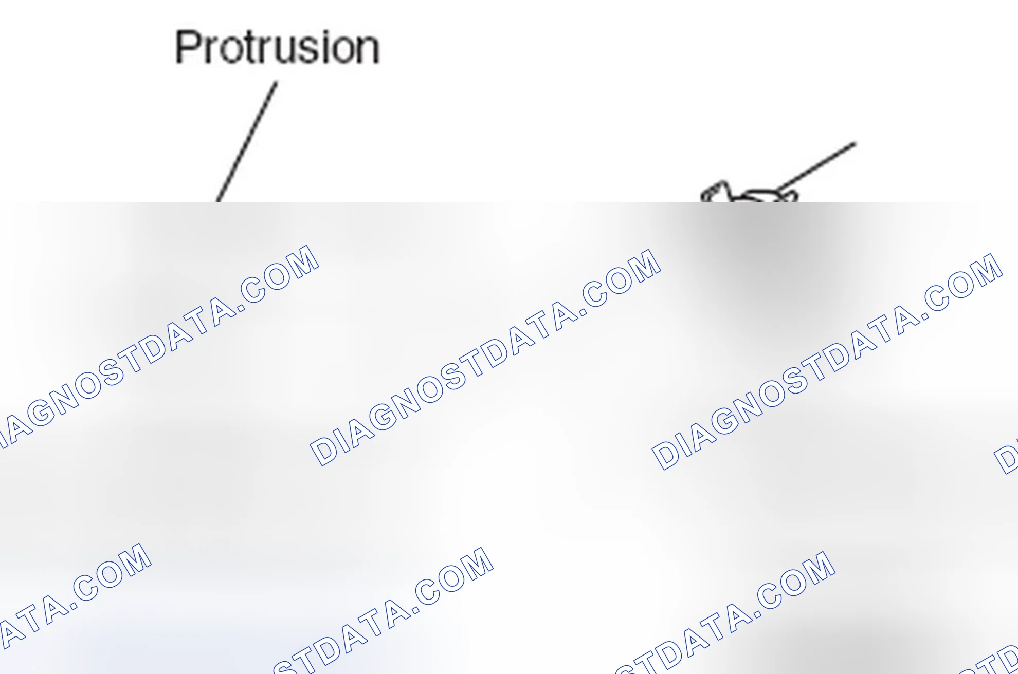 Scheme 8: >> B << RADIATOR LOWER HOSE CONNECTION