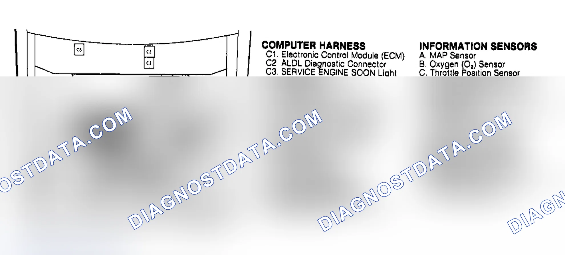Scheme 137