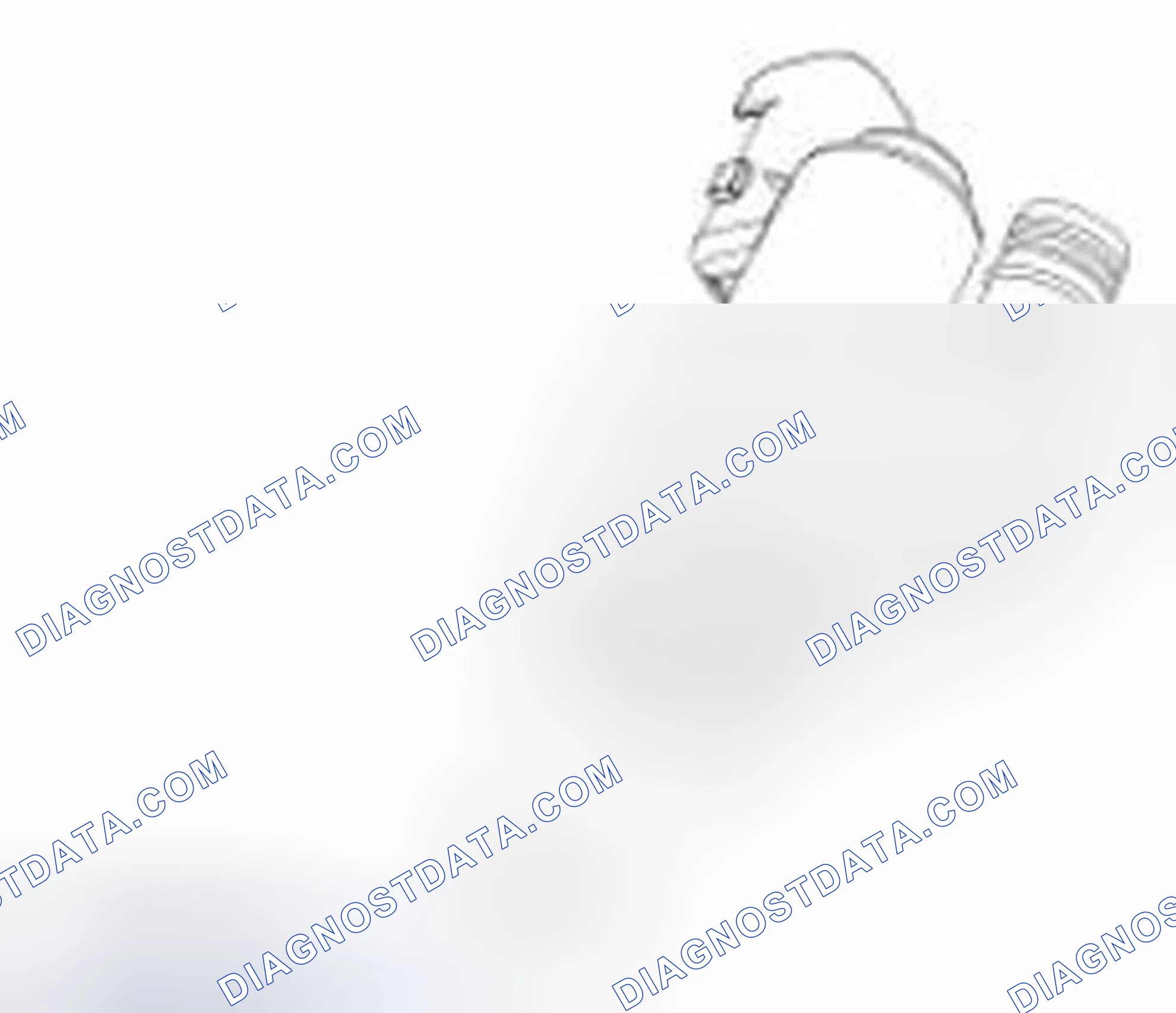 Scheme 135: Fuel Vapor Vent Valve