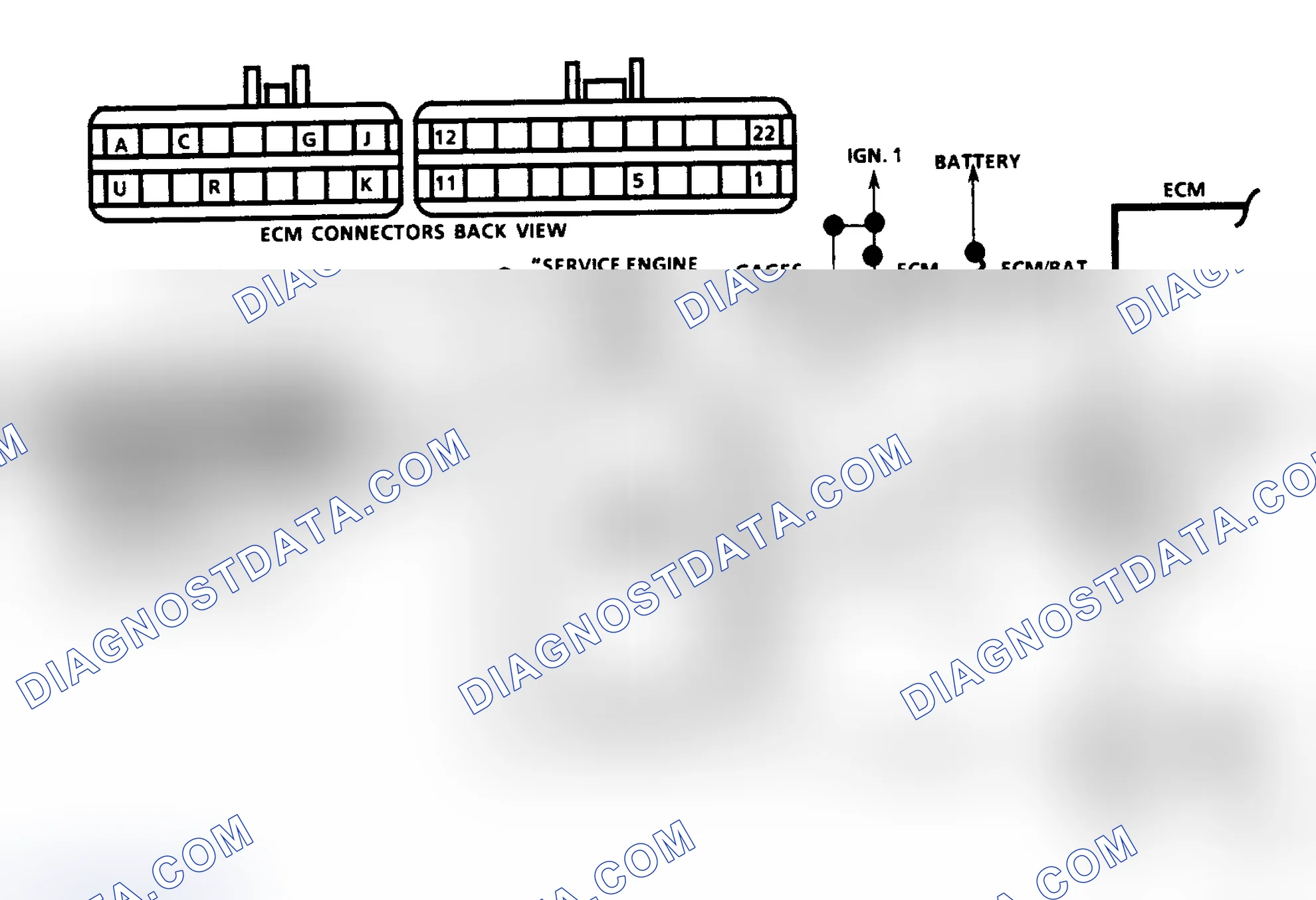 Scheme 41: Diagnostic Circuit Check Schematic