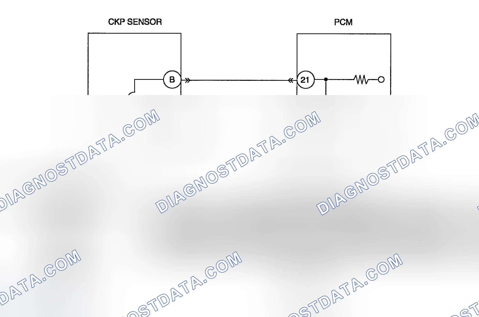 Scheme 66: Diagnostic Procedure