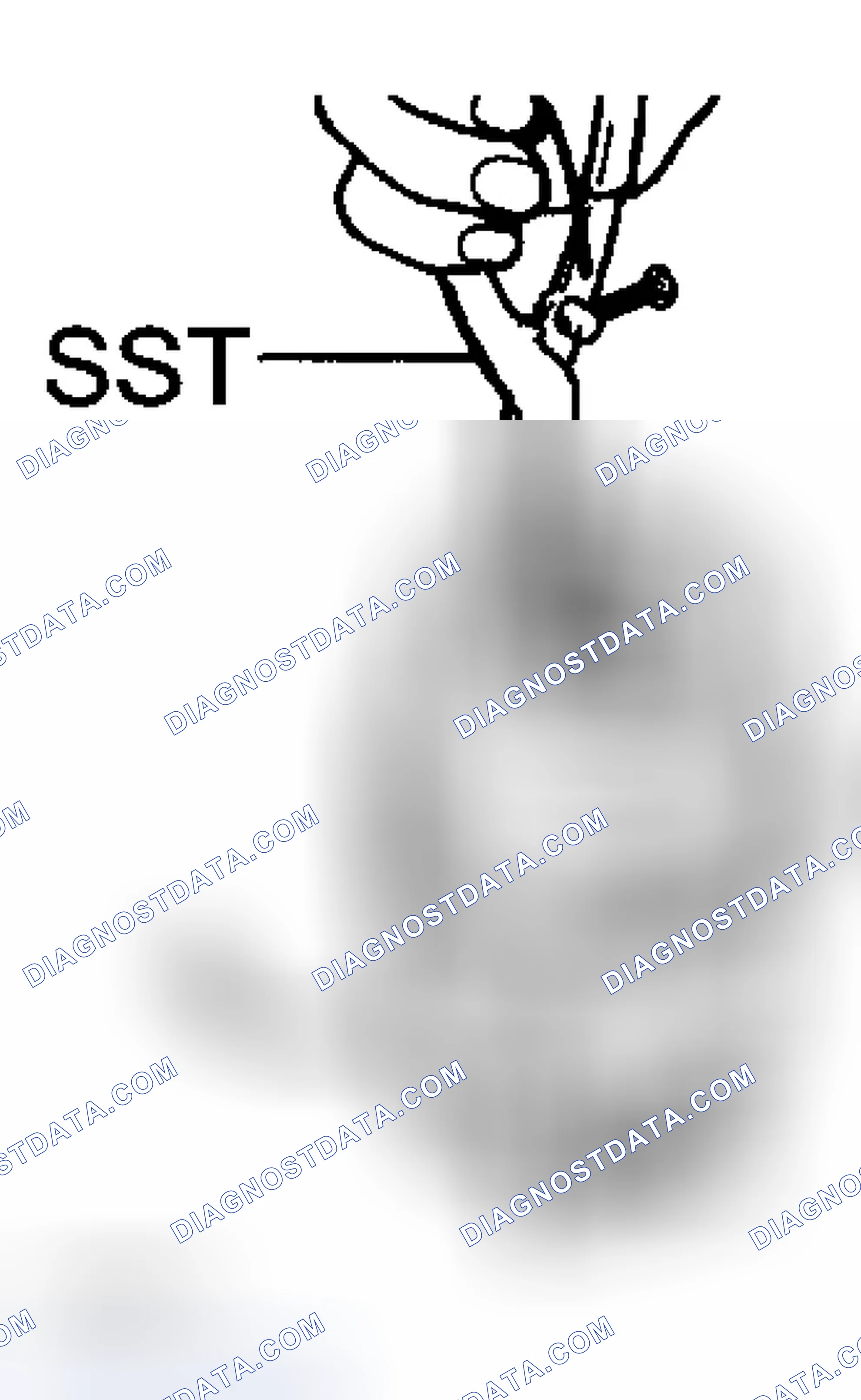 Scheme 225