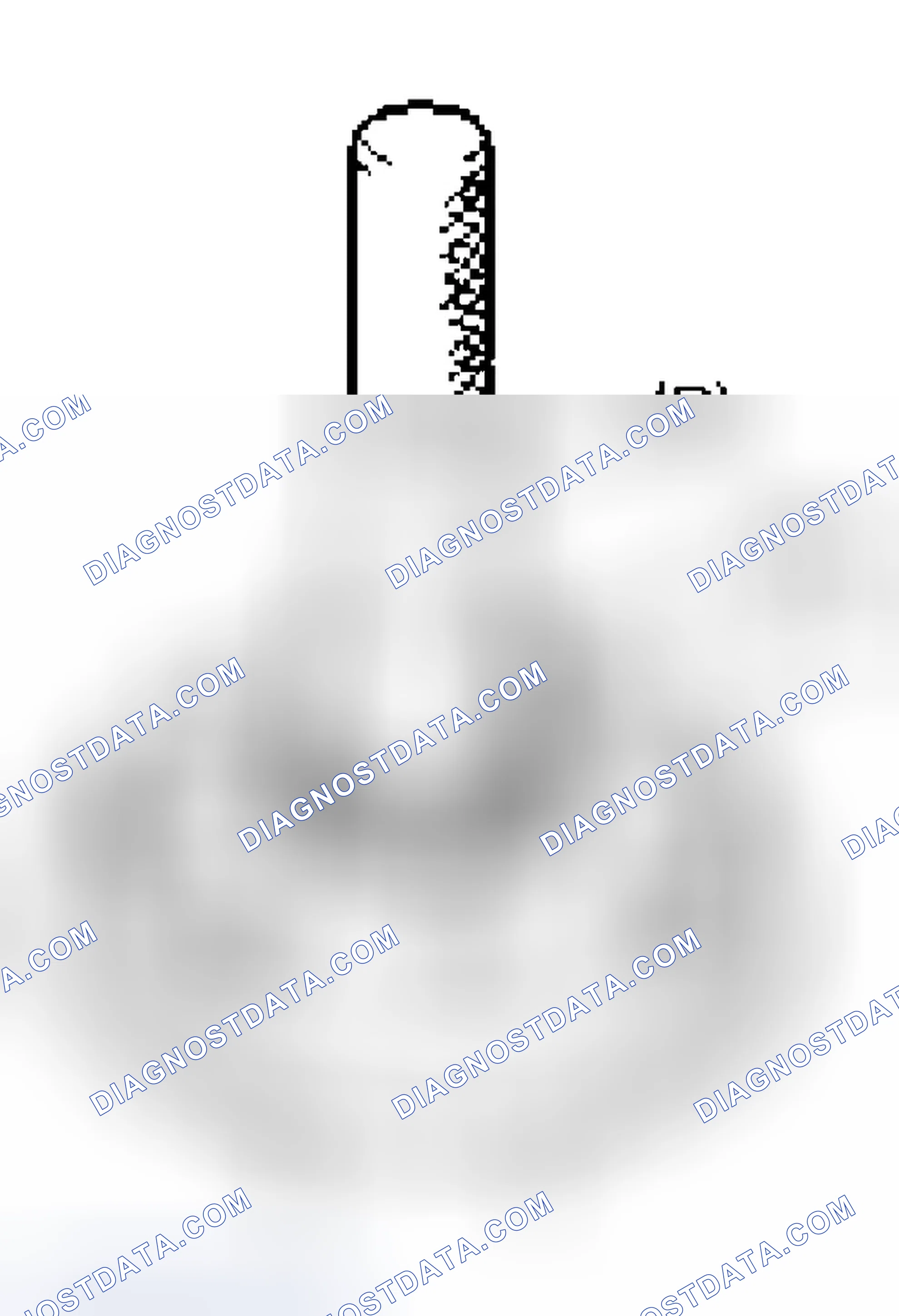 Scheme 73: Differential Side Bearing