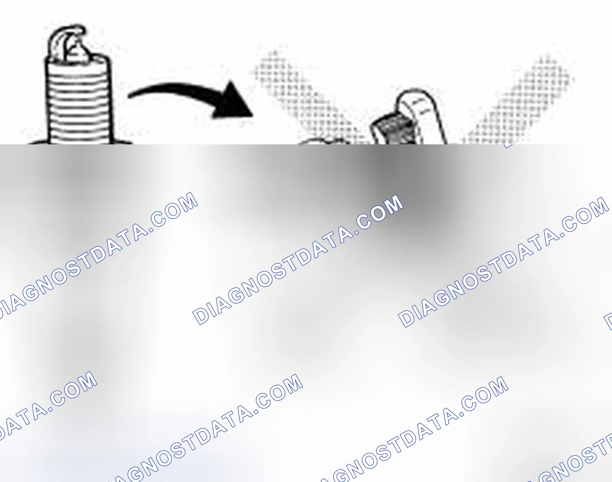 Scheme 3: INSPECTION AFTER REMOVAL