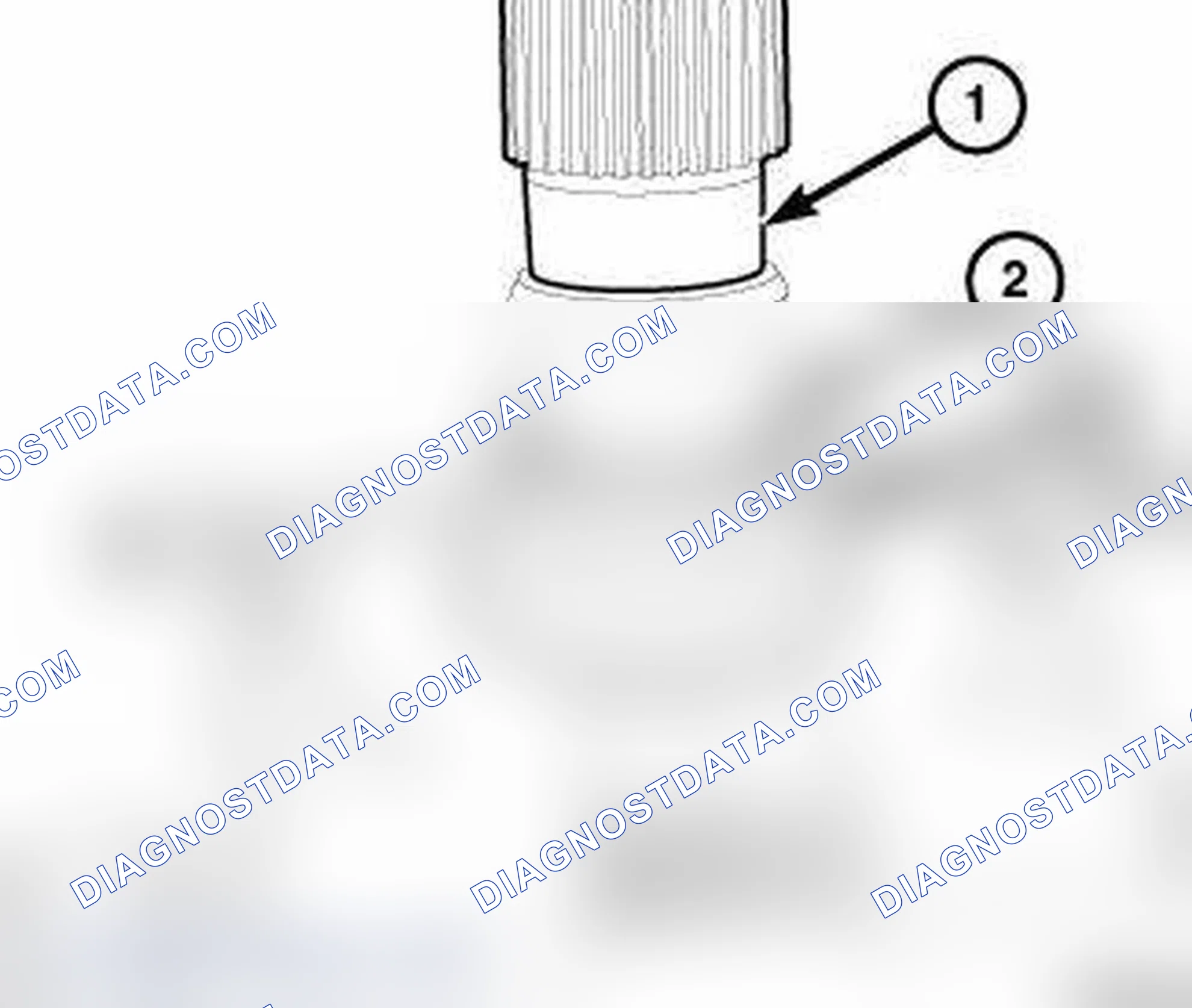 Scheme 5