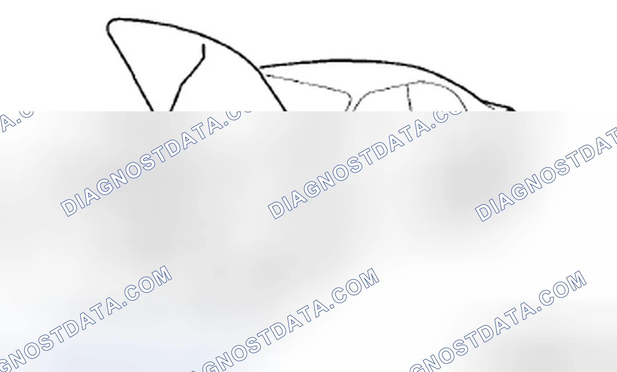 Scheme 45: Protection of the Vehicle