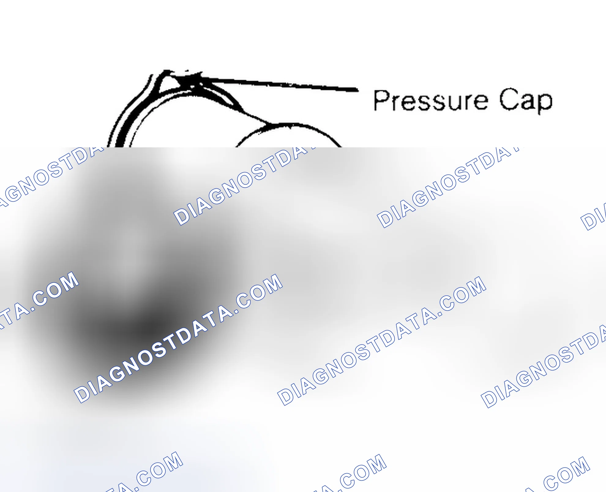 Scheme 2: Pressure Testing Radiator Cap