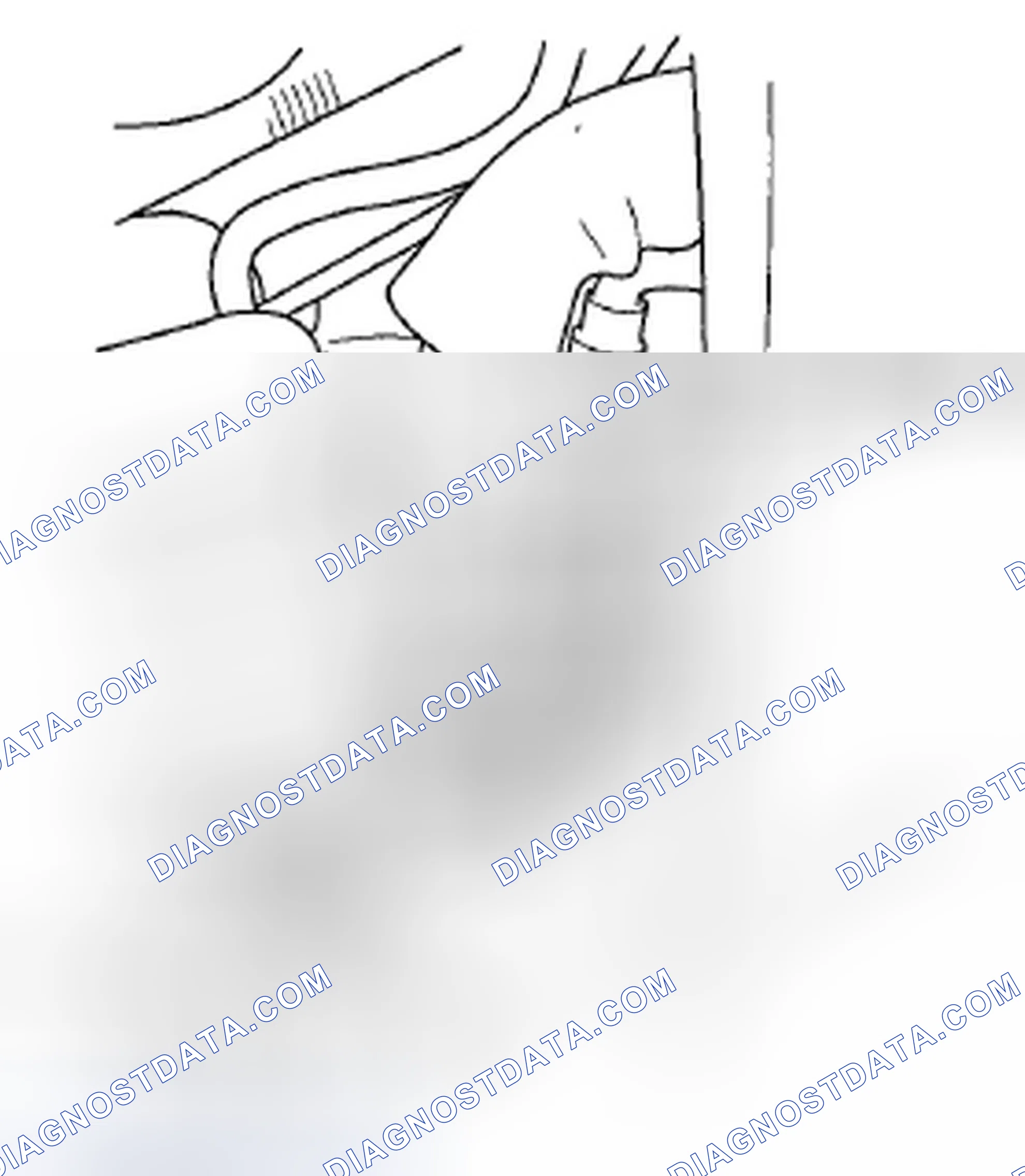 Scheme 61: Fuel Tank Replacement