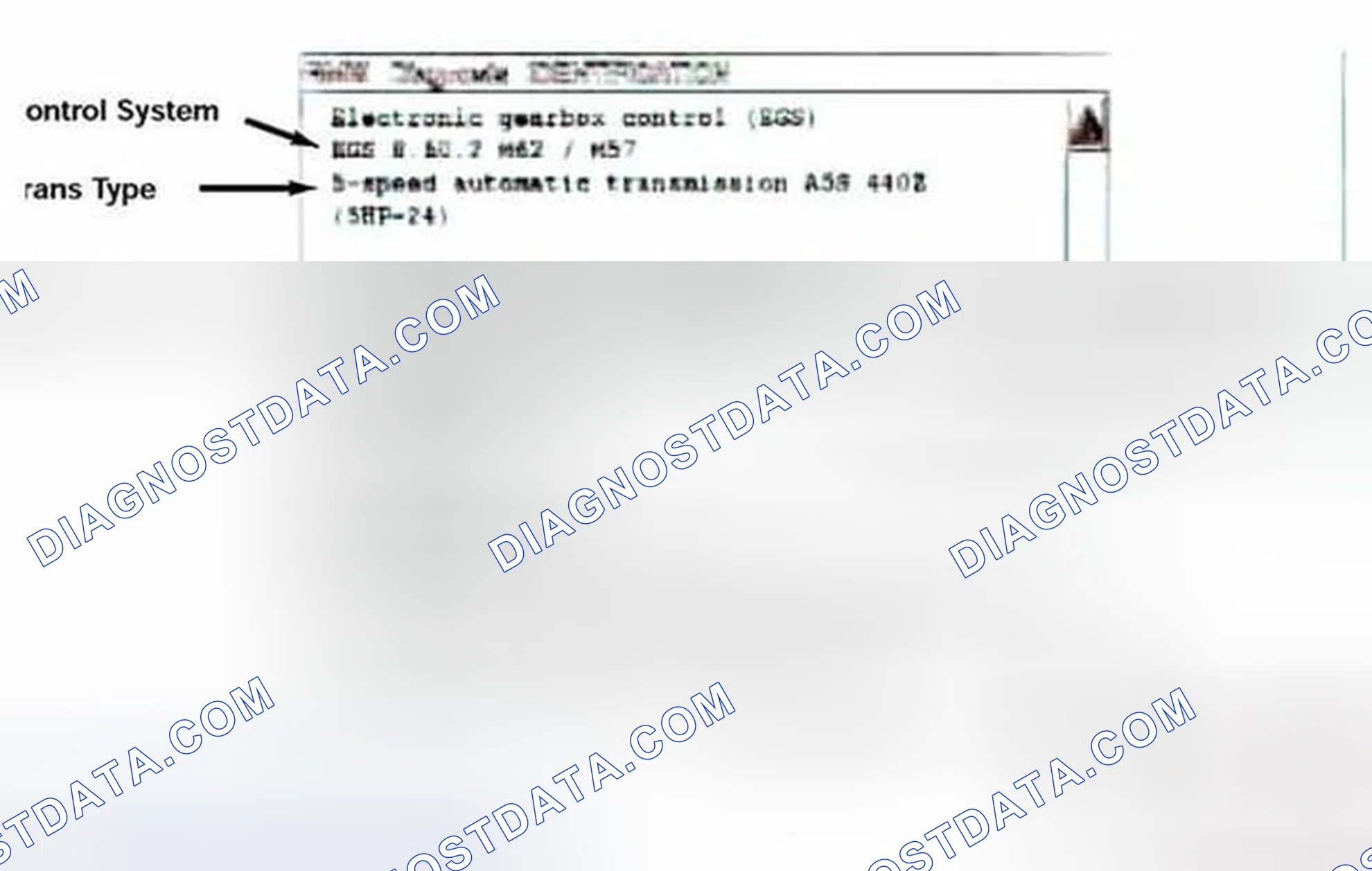 Scheme 459: Identification Page