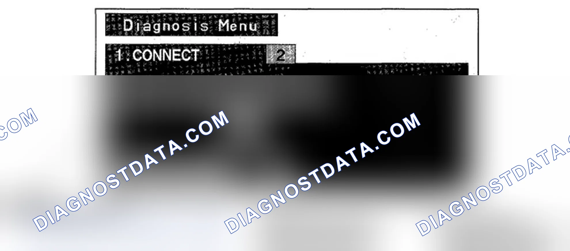 Scheme 203: Self-diagnostic Function Mode Display