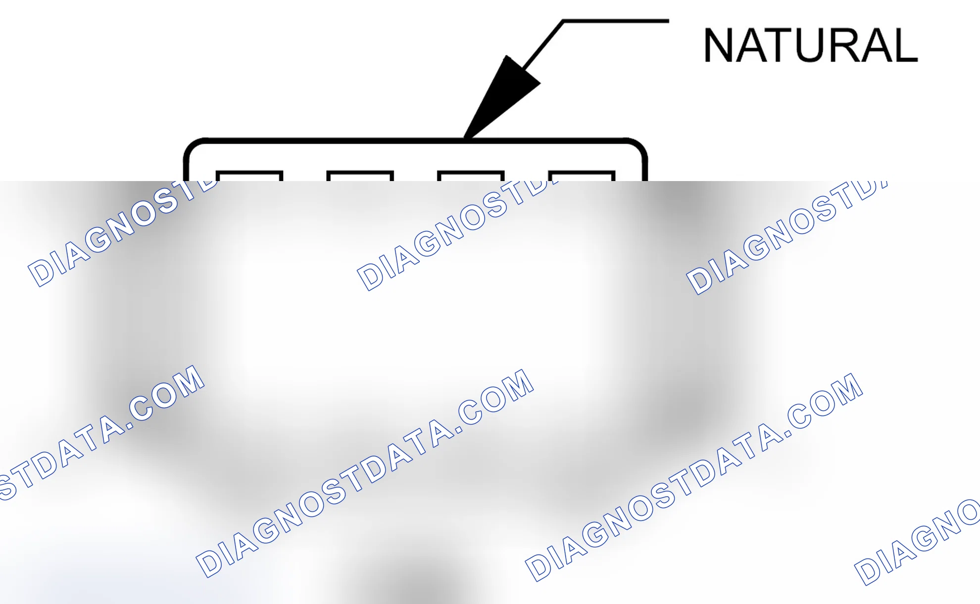 Scheme 61: Inline Connector End View (C100 )