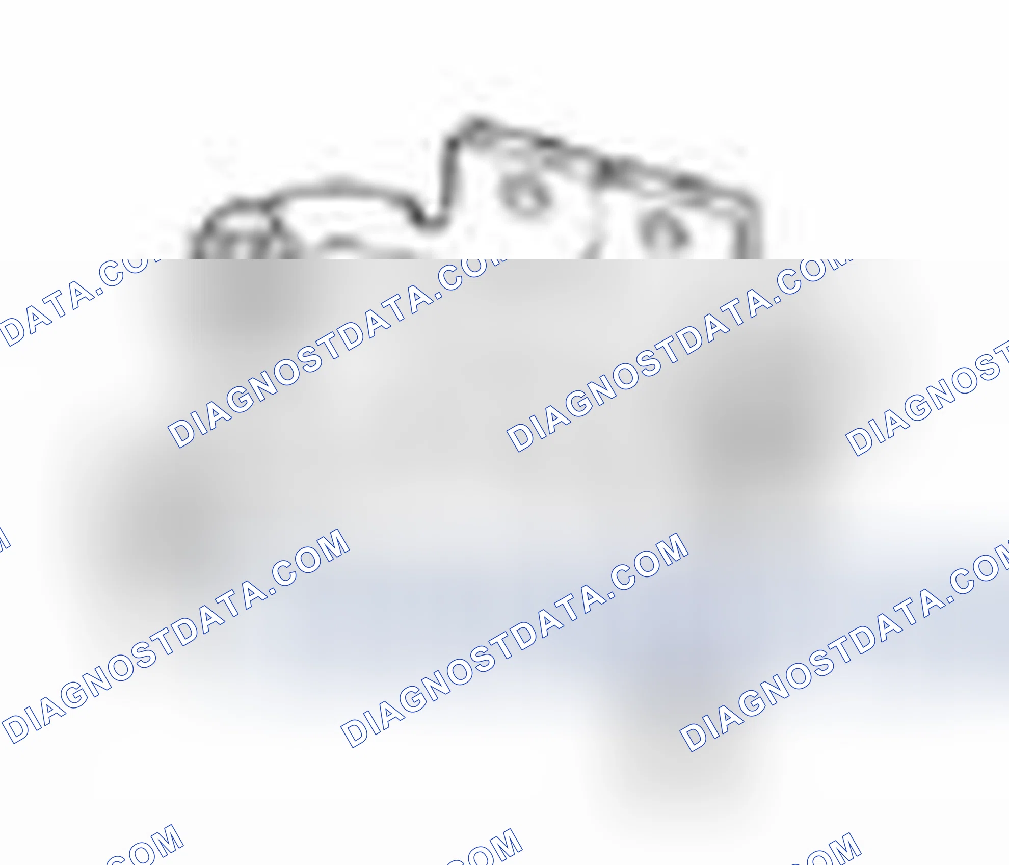 Scheme 224: Valve Springs