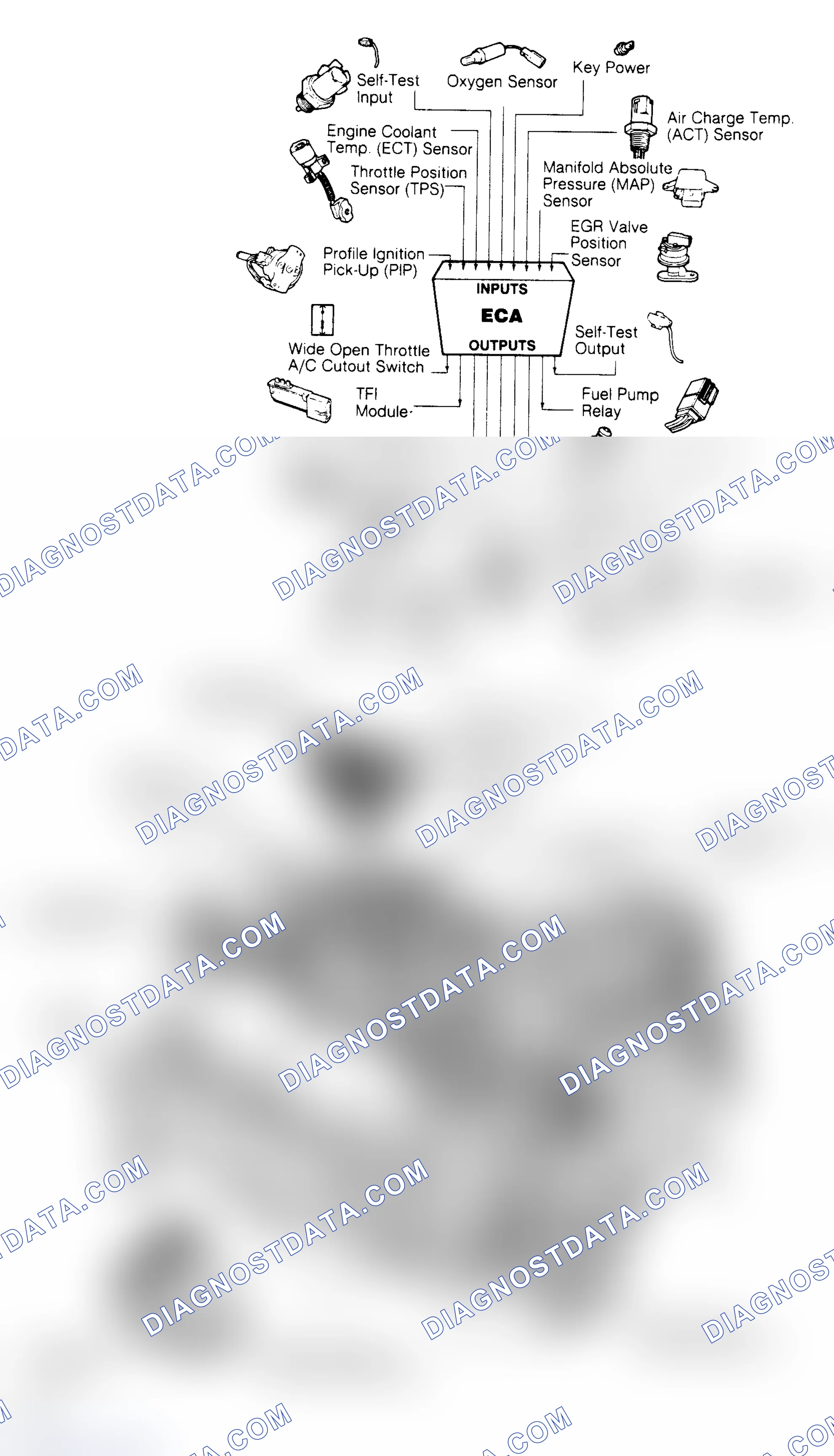 Scheme 139: 5.0L CFI EEC-IV Inputs/Outputs & Component Locations