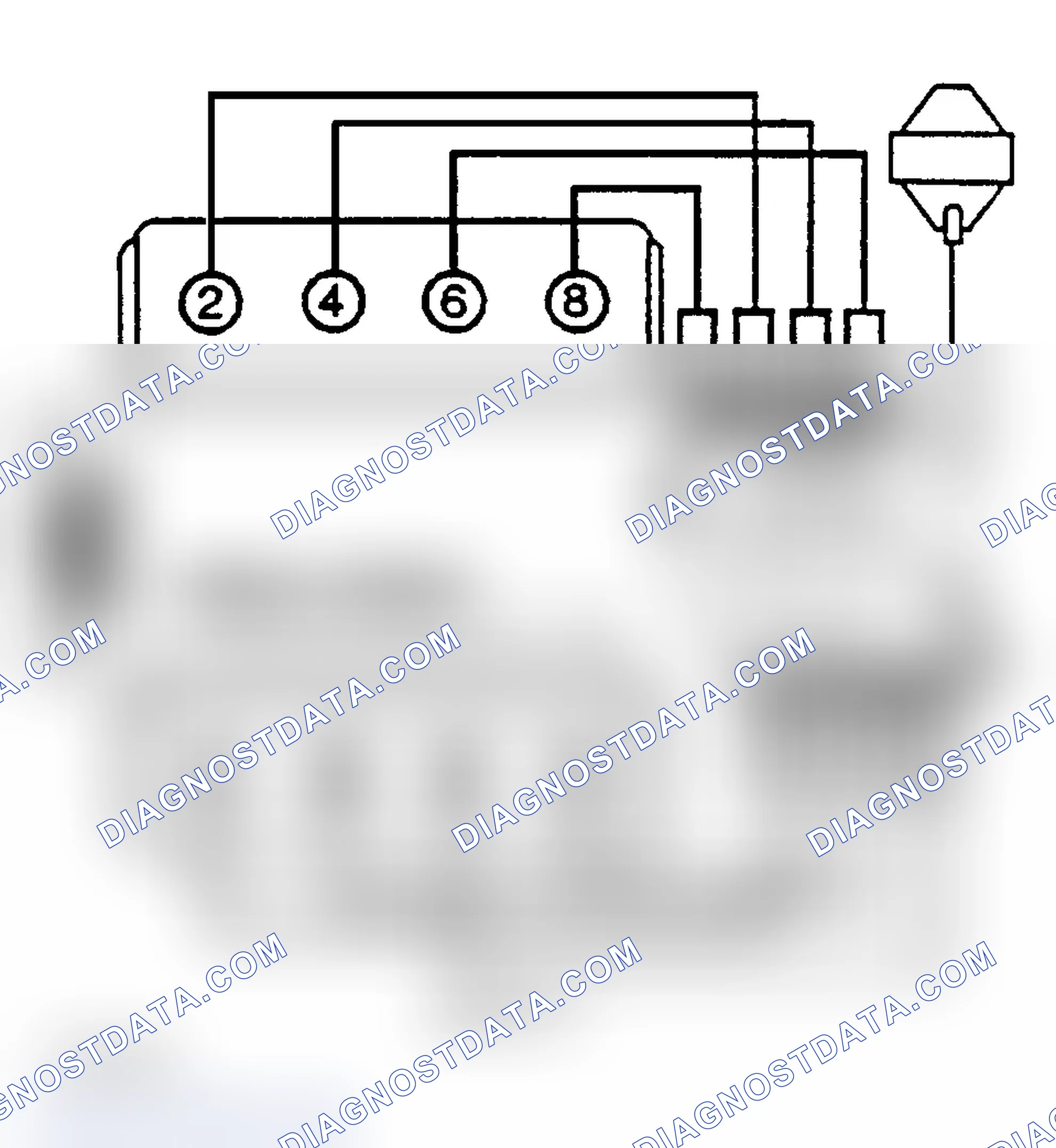 Scheme 8: Firing Order (5.0L & 5.7L)