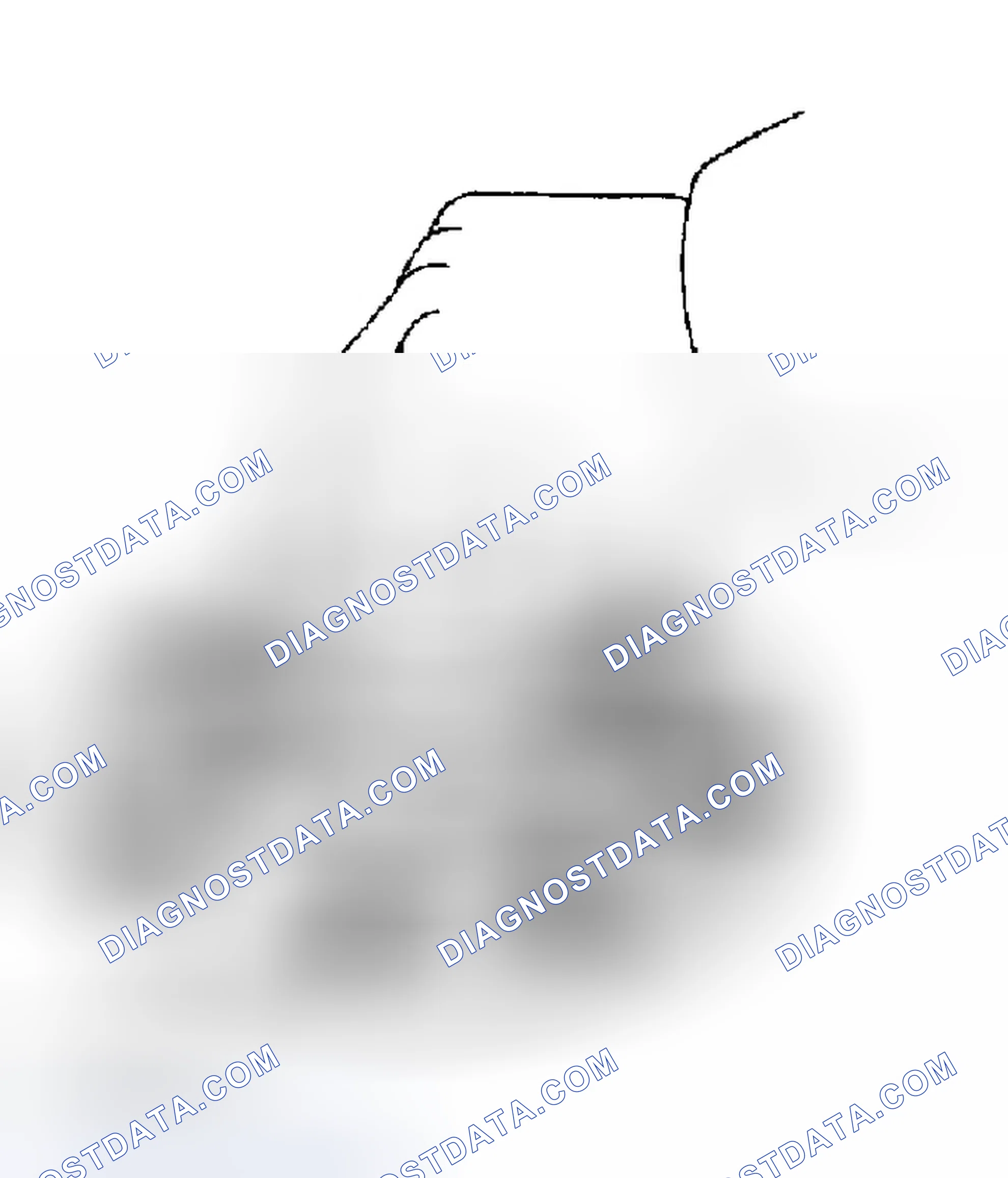 Scheme 93: INSPECTION PROCEDURE