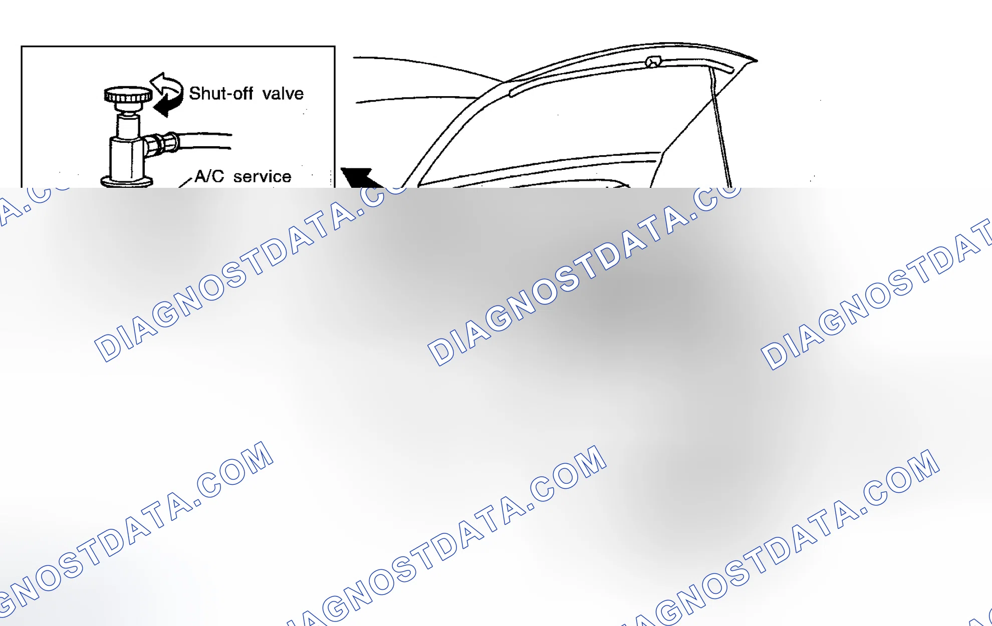 Scheme 240