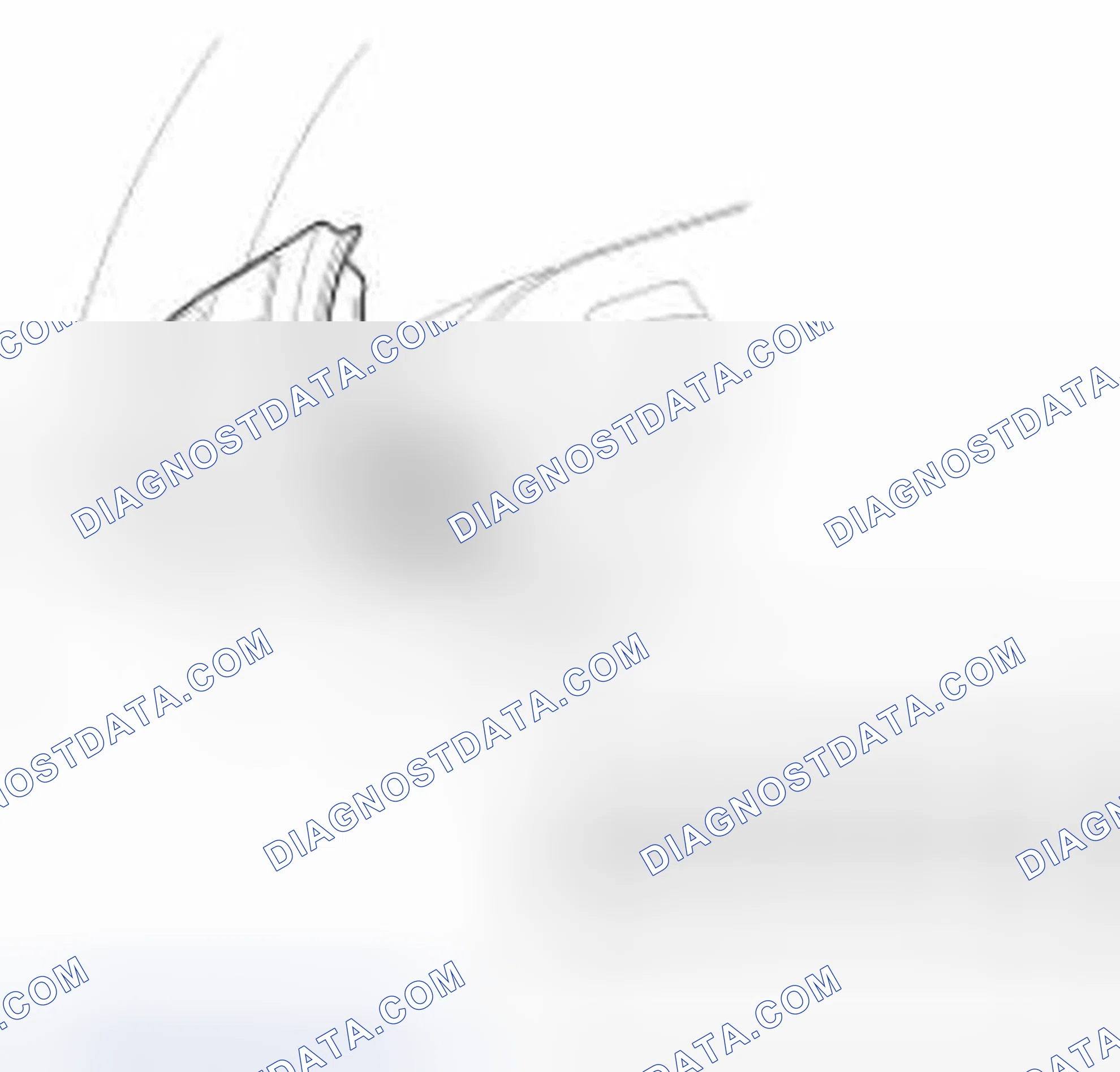Scheme 228: Inspection