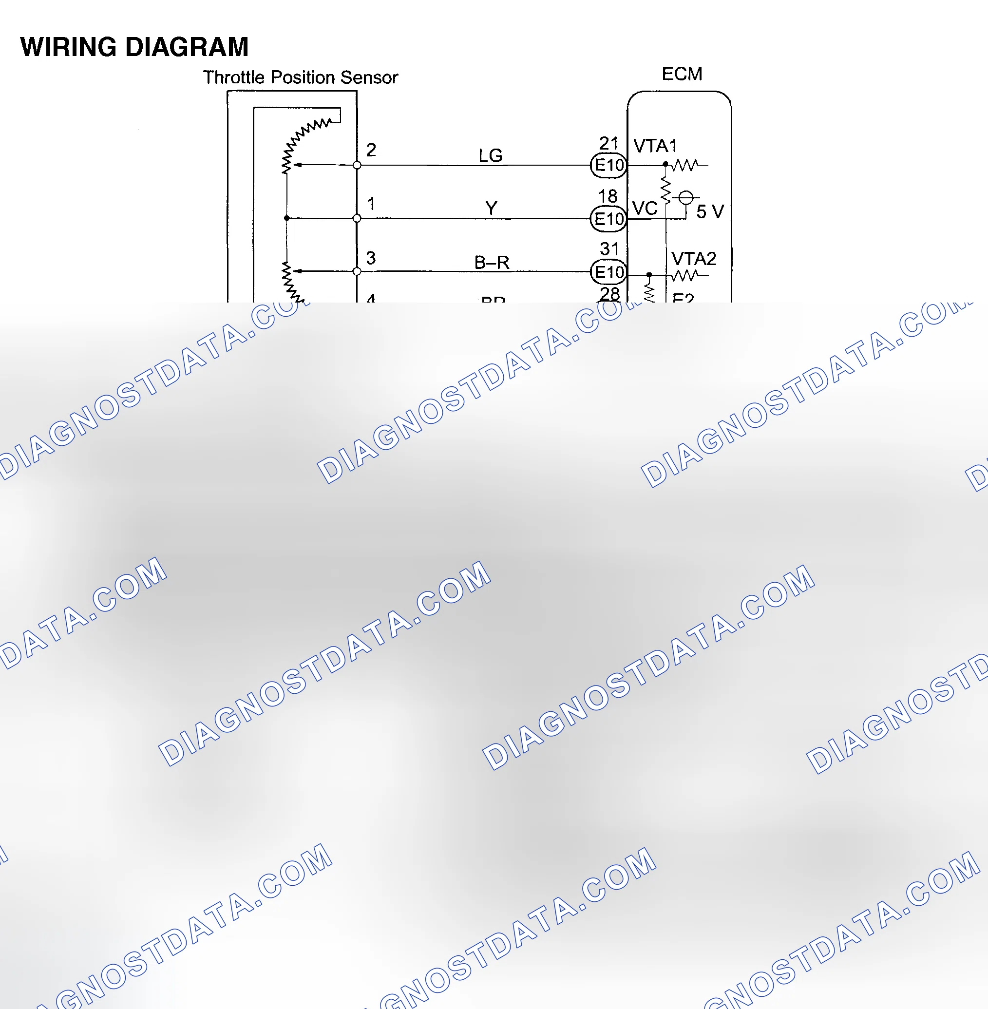 Scheme 558