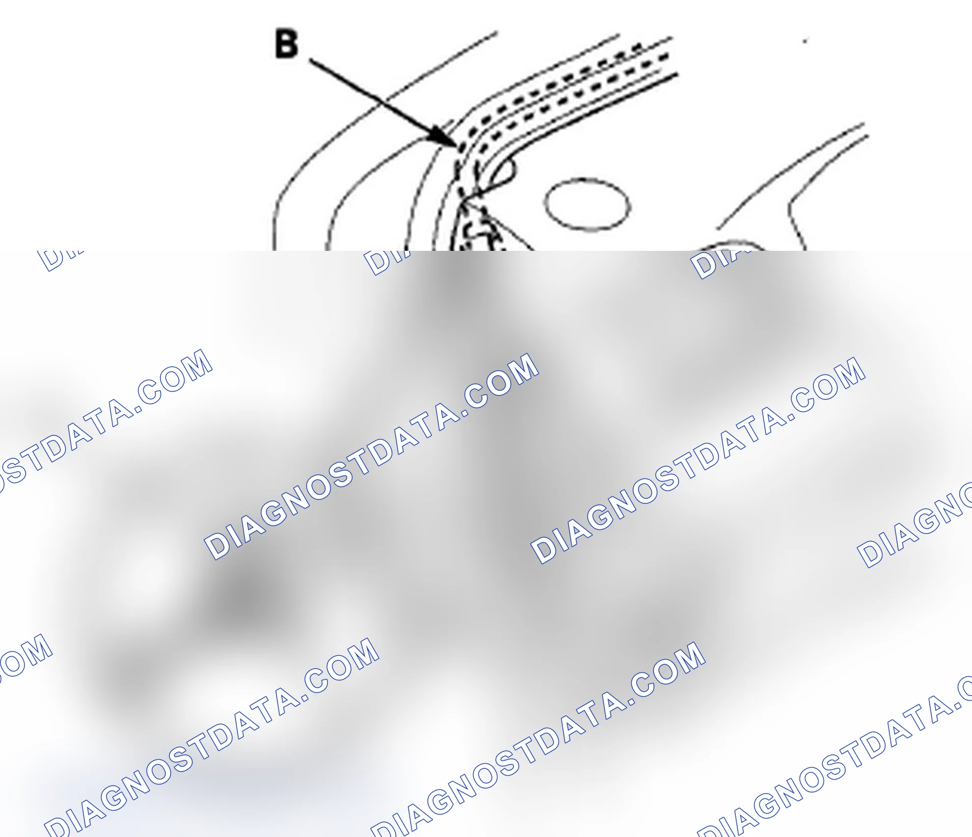 Scheme 283