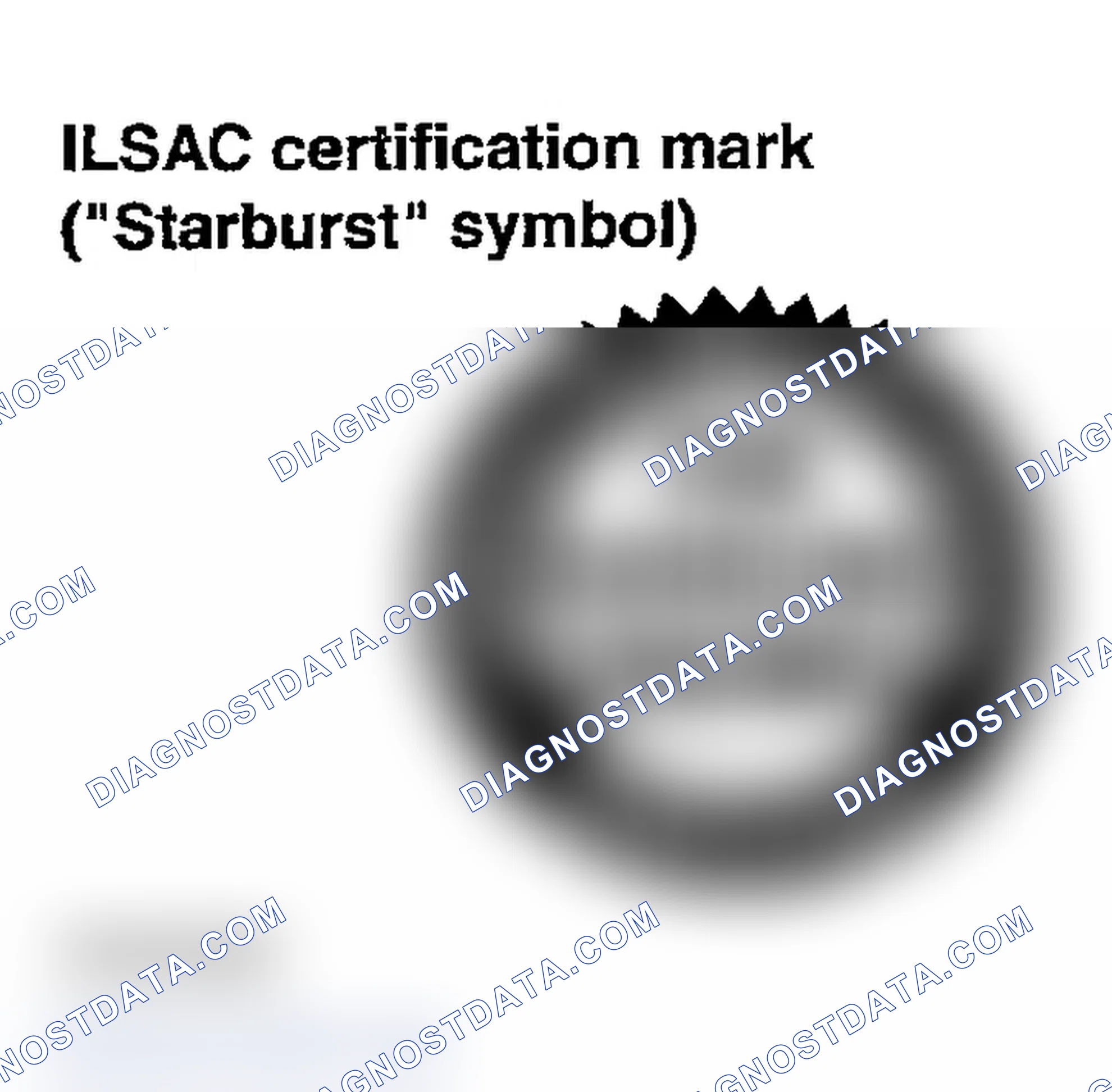 Scheme 138