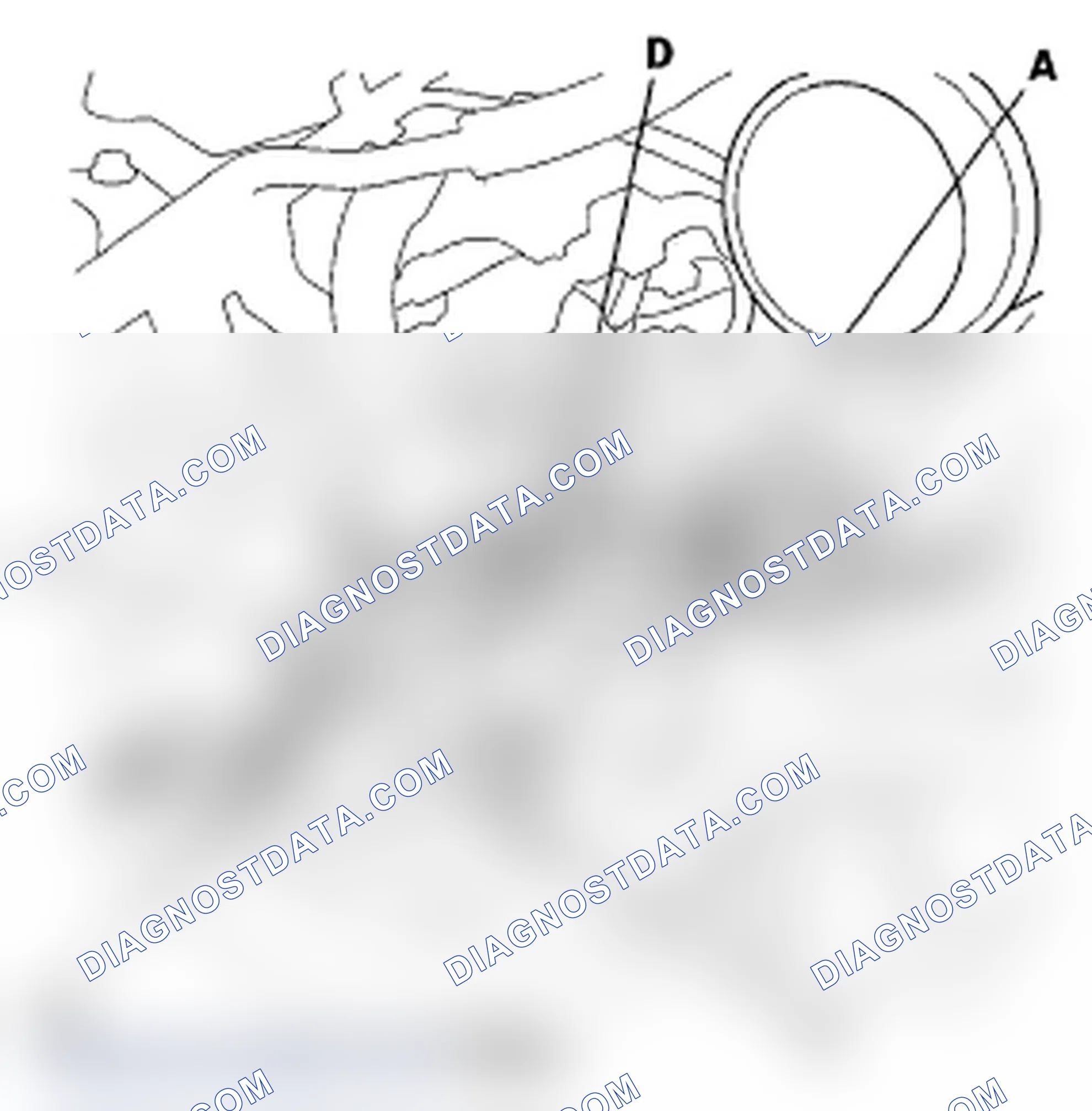 Scheme 144: EVAP Canister Purge Nozzle Replacement