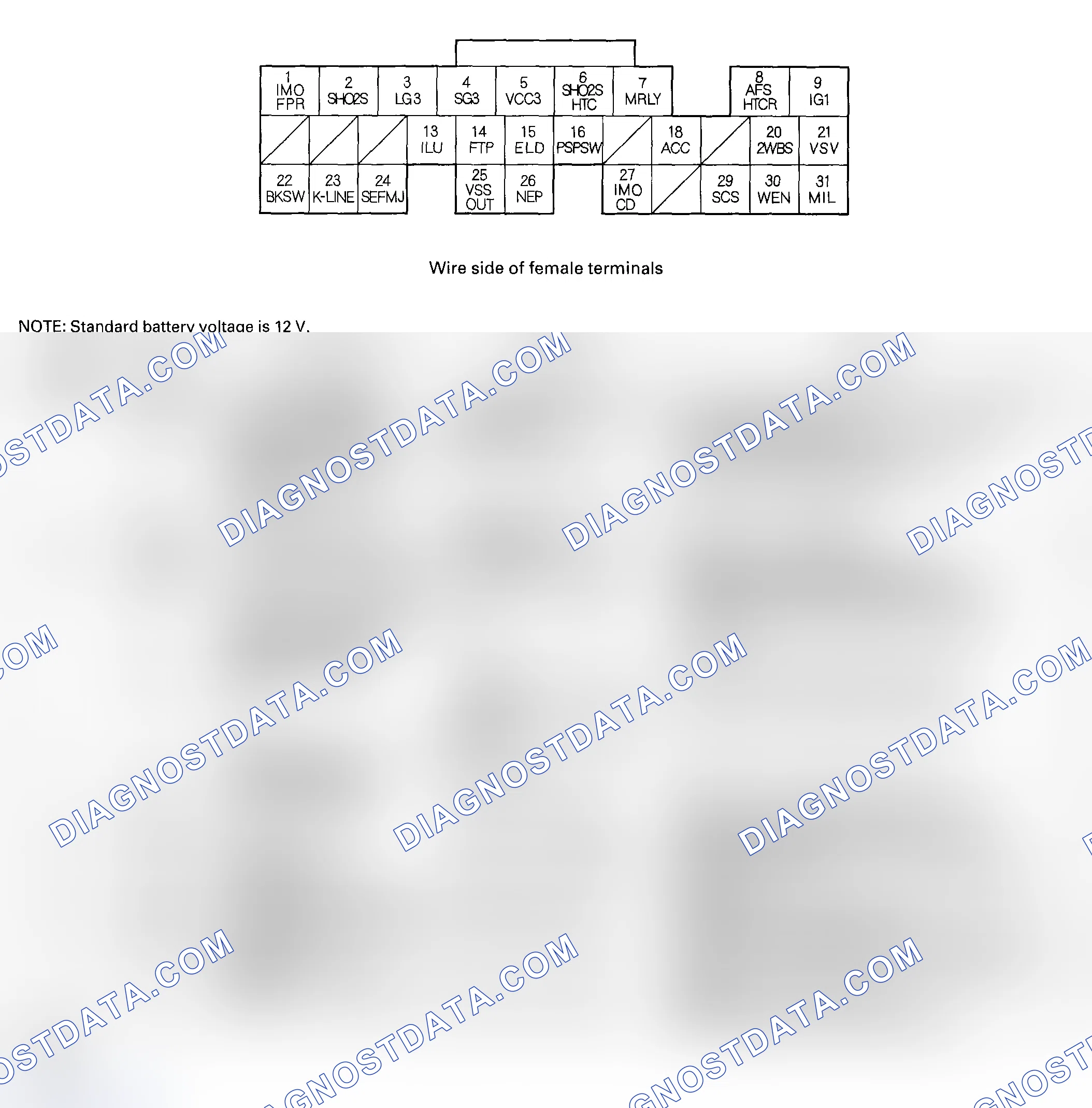 Scheme 41: ECM/PCM Inputs and Outputs at Connector E (31P)-2002-2004 Models