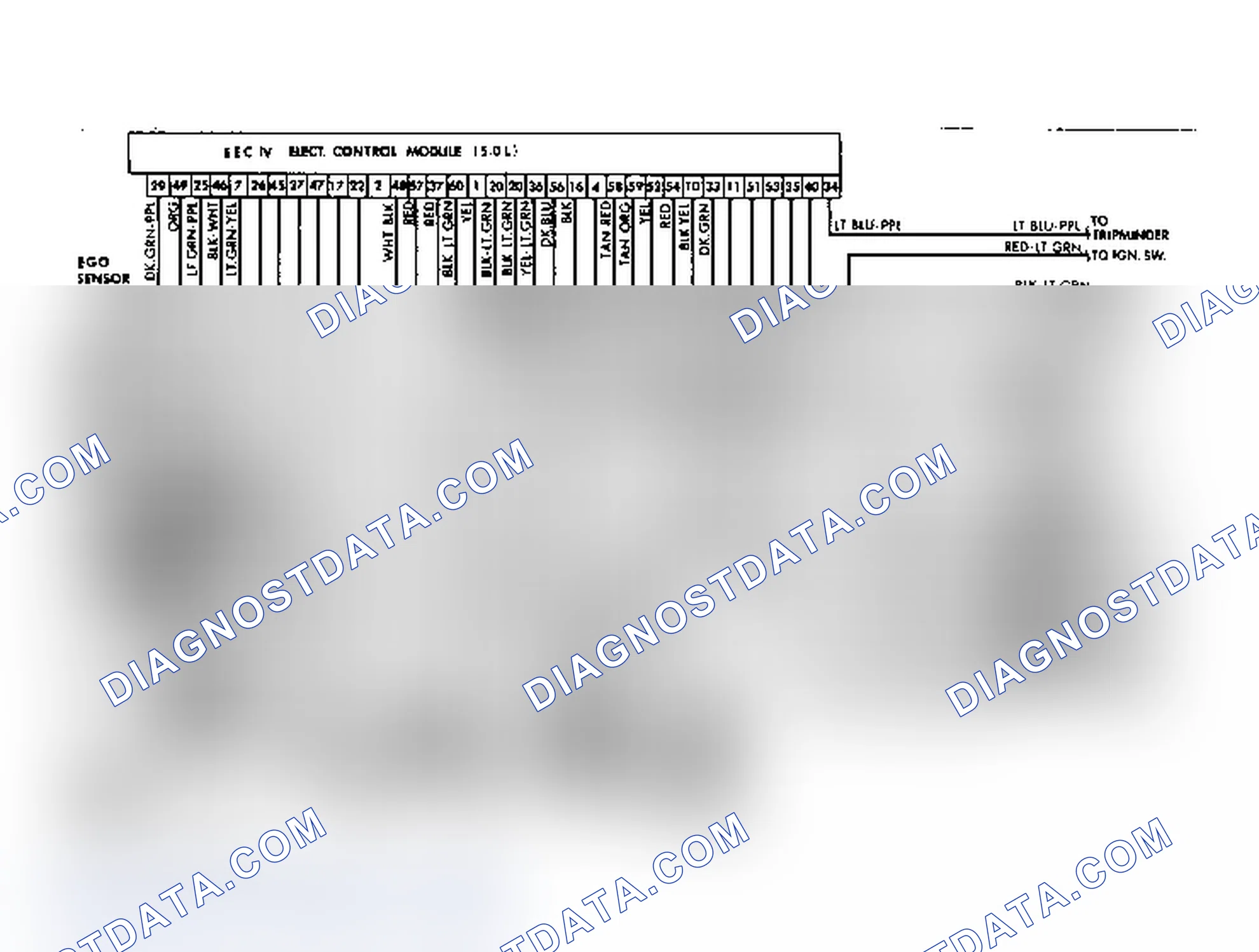 Scheme 9: Ford 5.0L V8 EFI (EEC IV) System Wiring Diagram