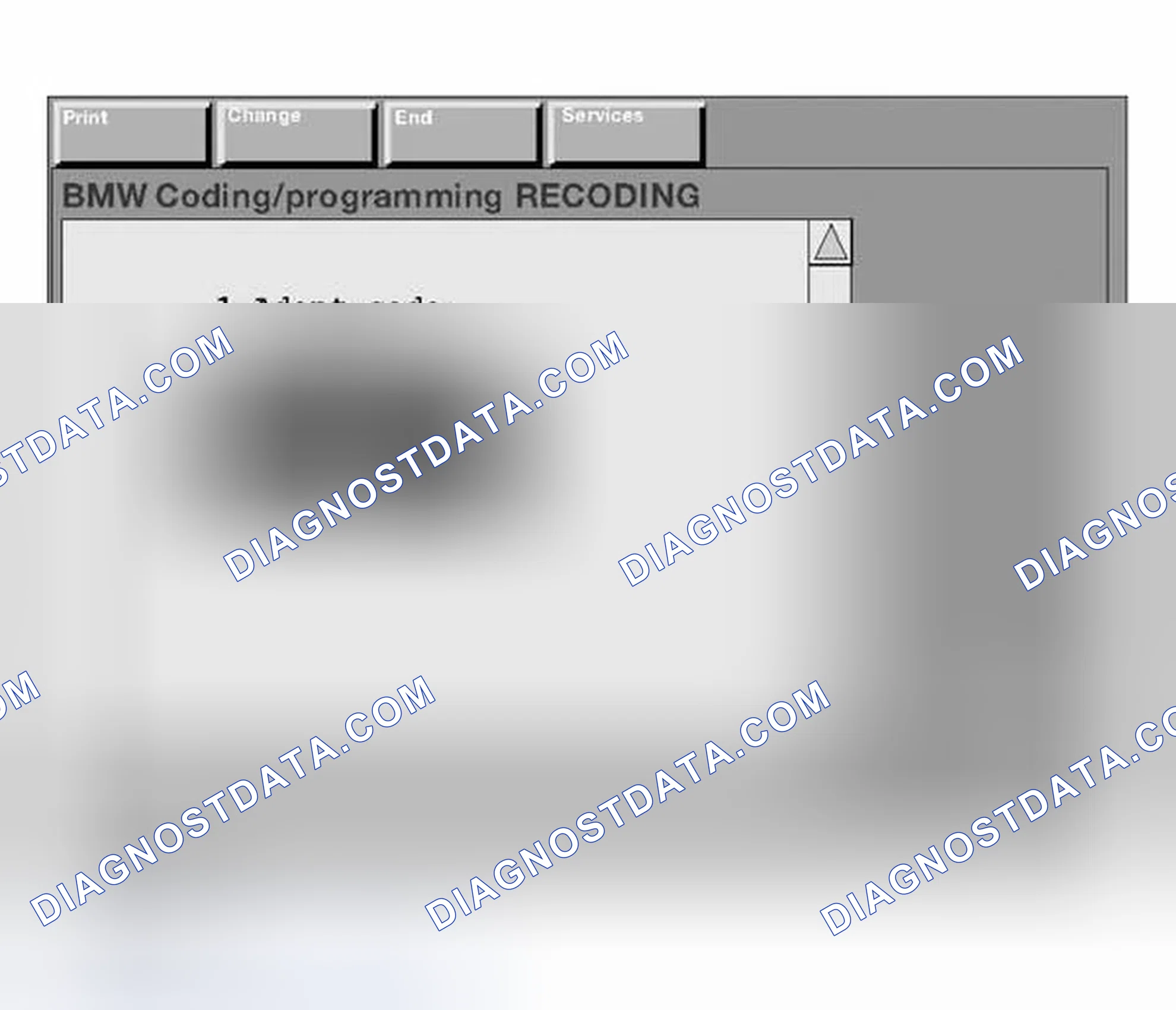 Scheme 183: Manually Entering the Variant Code