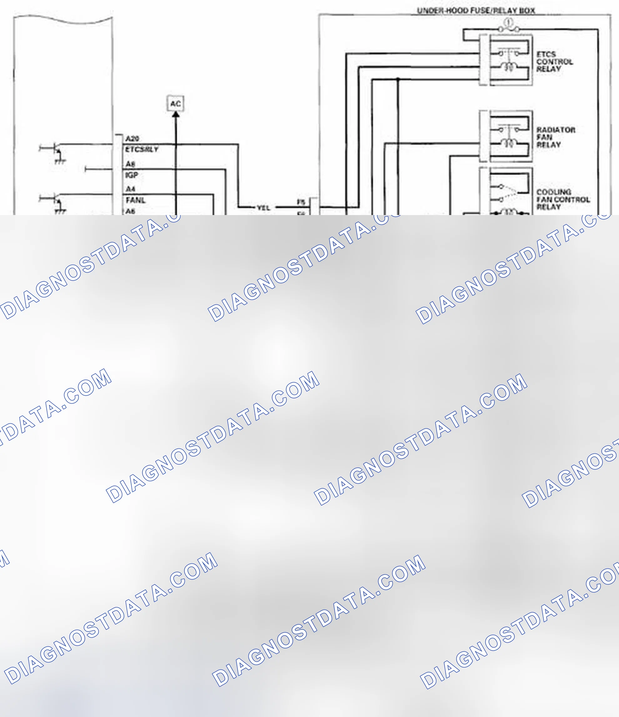 Scheme 921