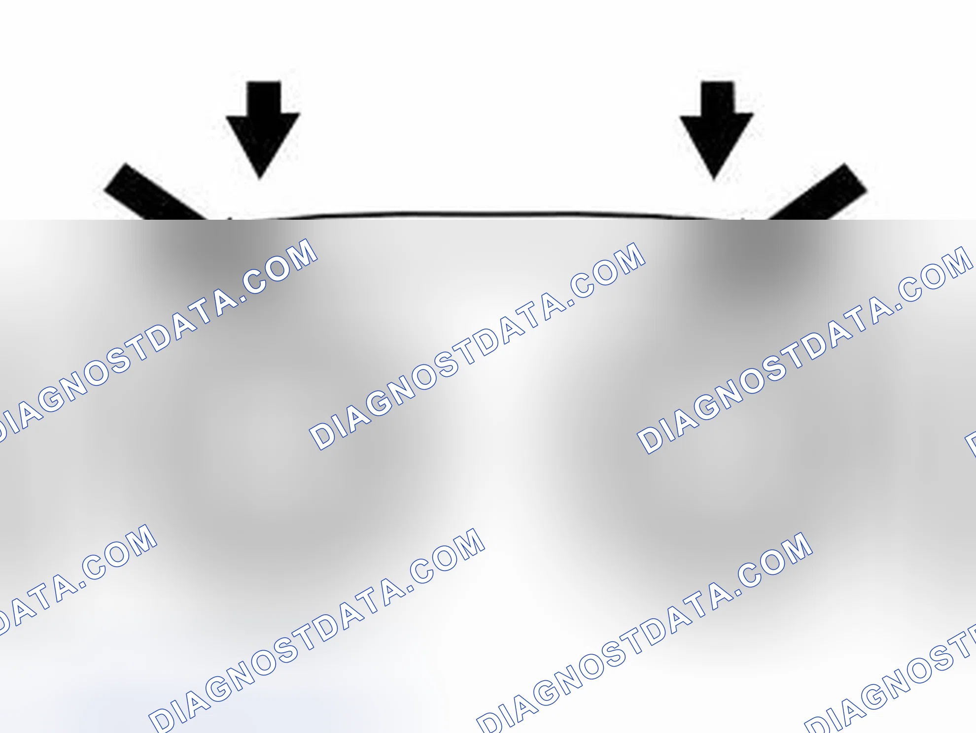 Scheme 307