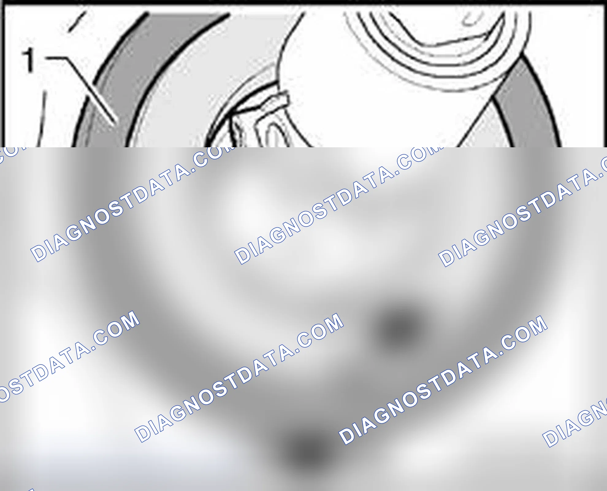 Scheme 323: Installation position of bulkhead boot and gasket