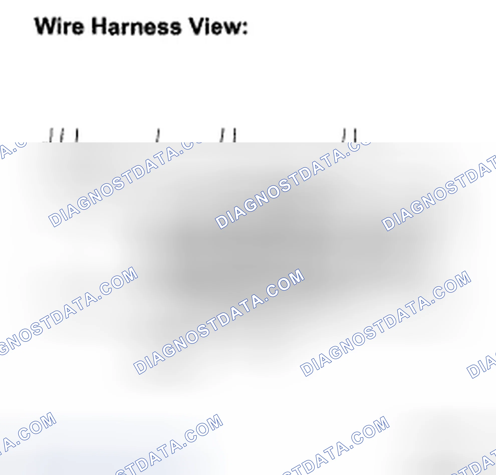 Scheme 24: INSPECTION PROCEDURE