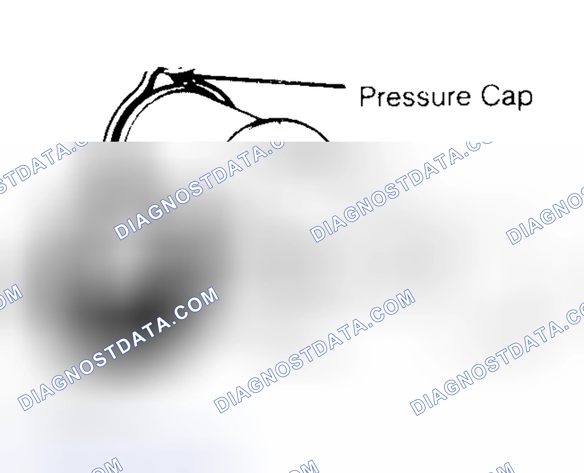 Scheme 2: Pressure Testing Radiator Cap